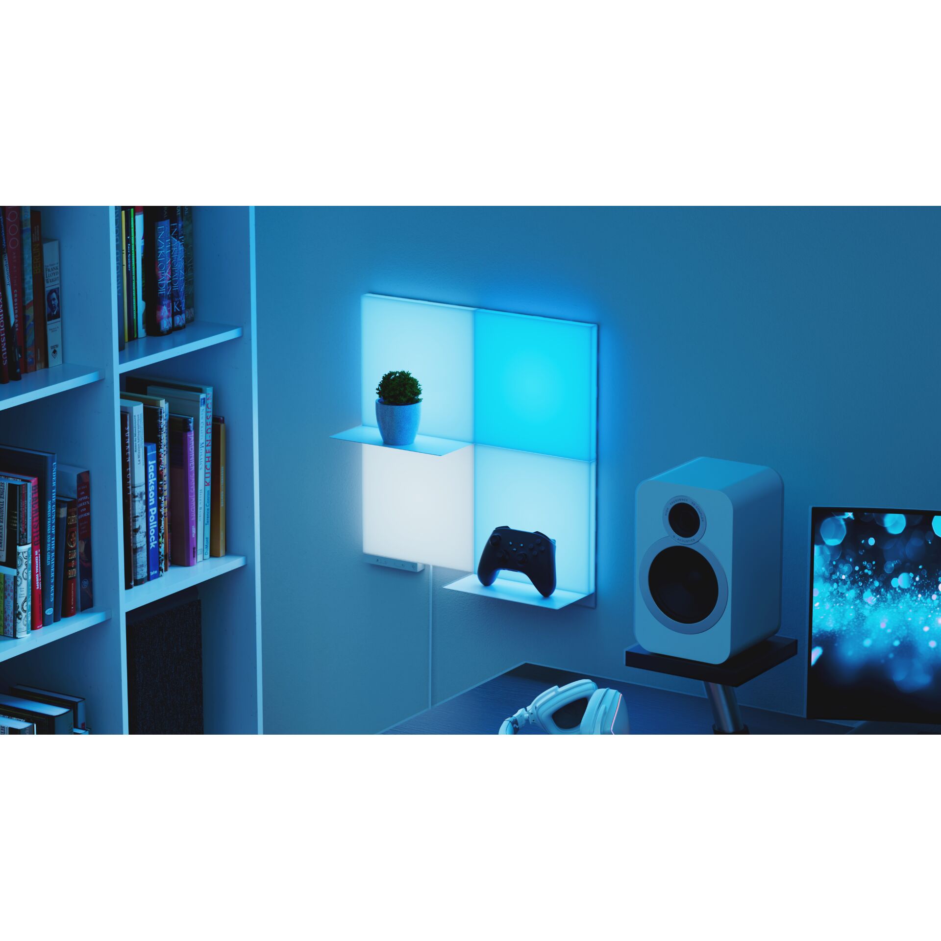 Sprecher, Regal, Pflanze, Mobiliar, Bücherschrank