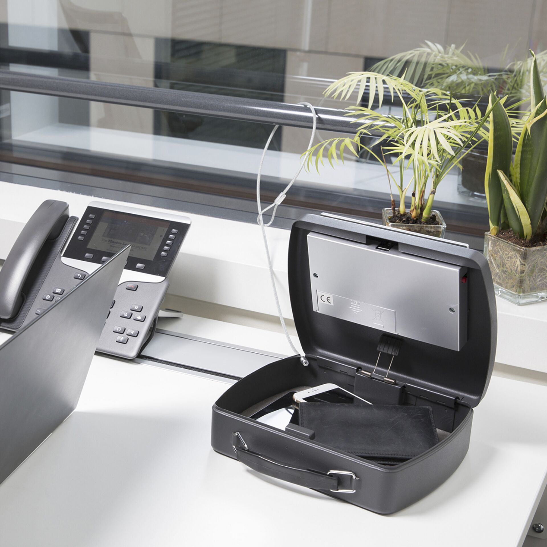 Pflanze, Mobiliar, Tabelle, Telefon, Computer-Ausrüstung