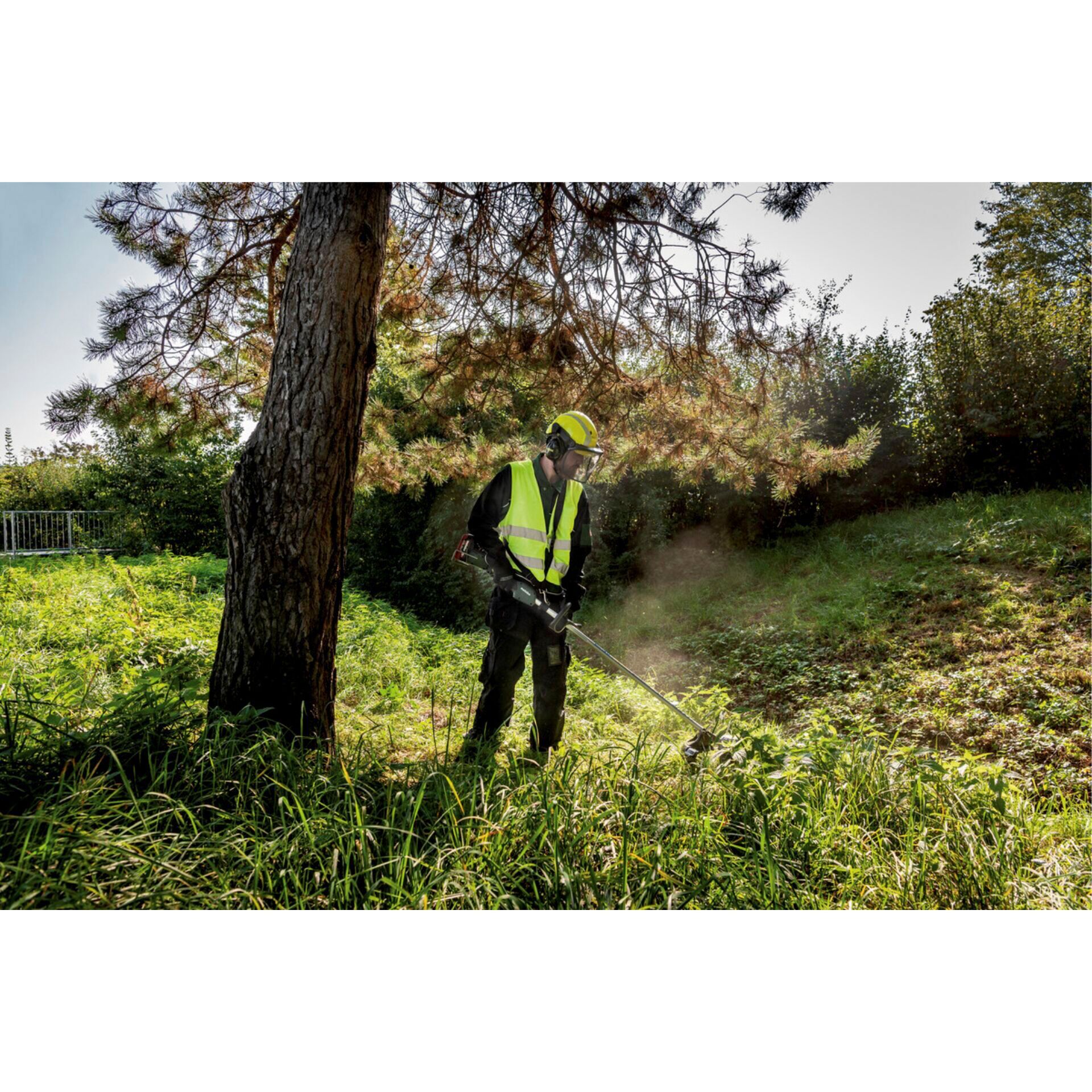 Gras, Baum, Helm, Mann, Person