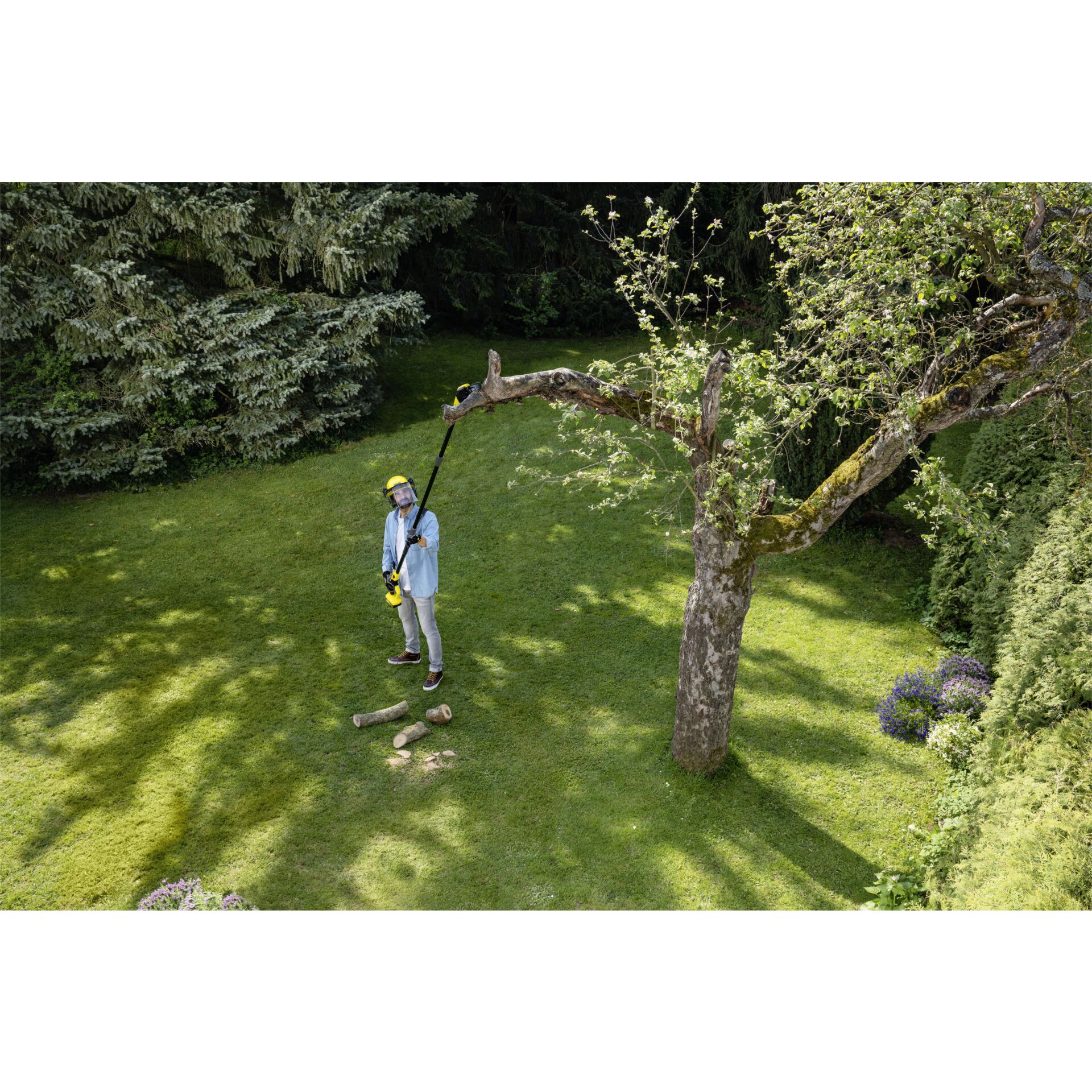 Gras, Rasen, Person, Vegetation, Baum