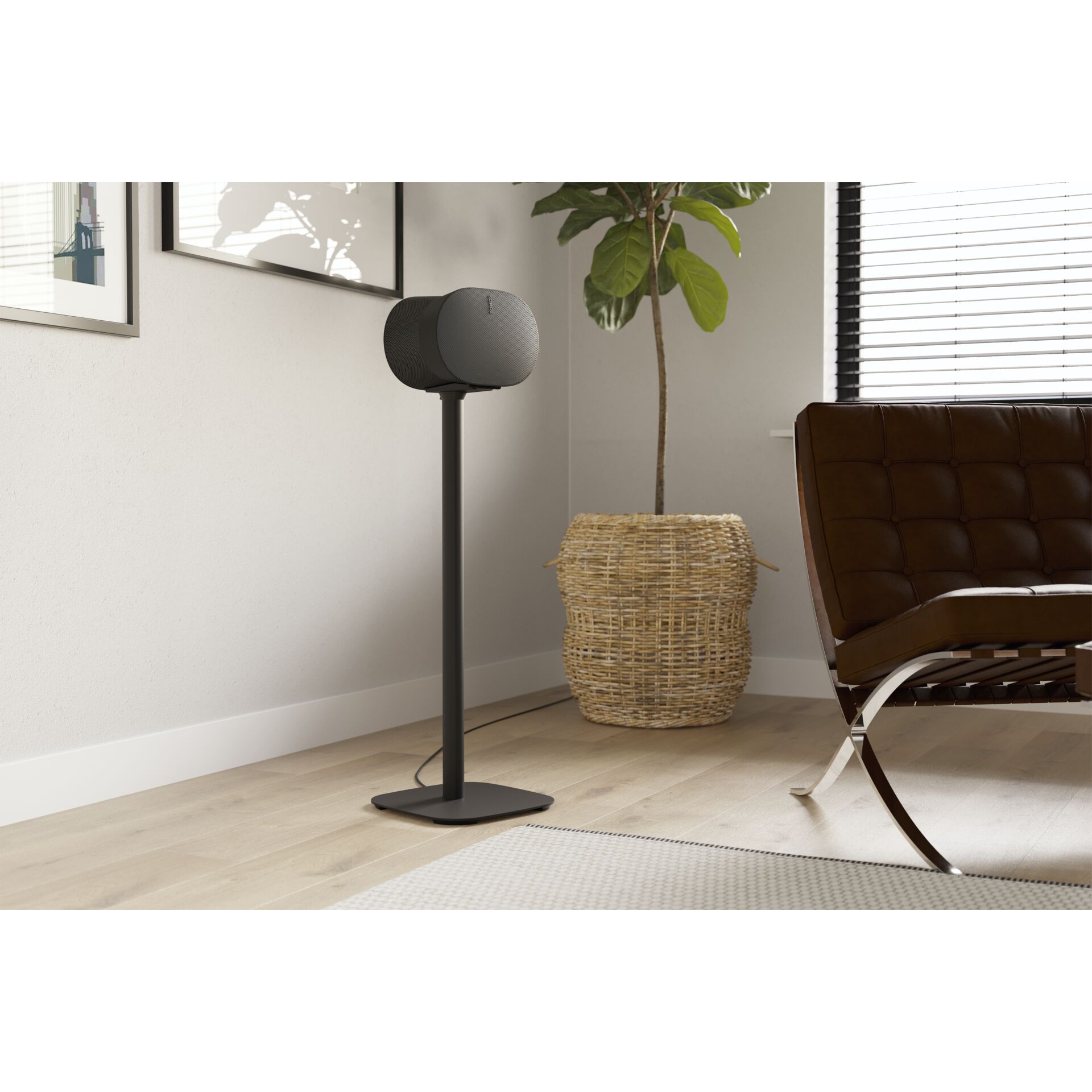 Lampe, Pflanze, Stehlampe, Mobiliar