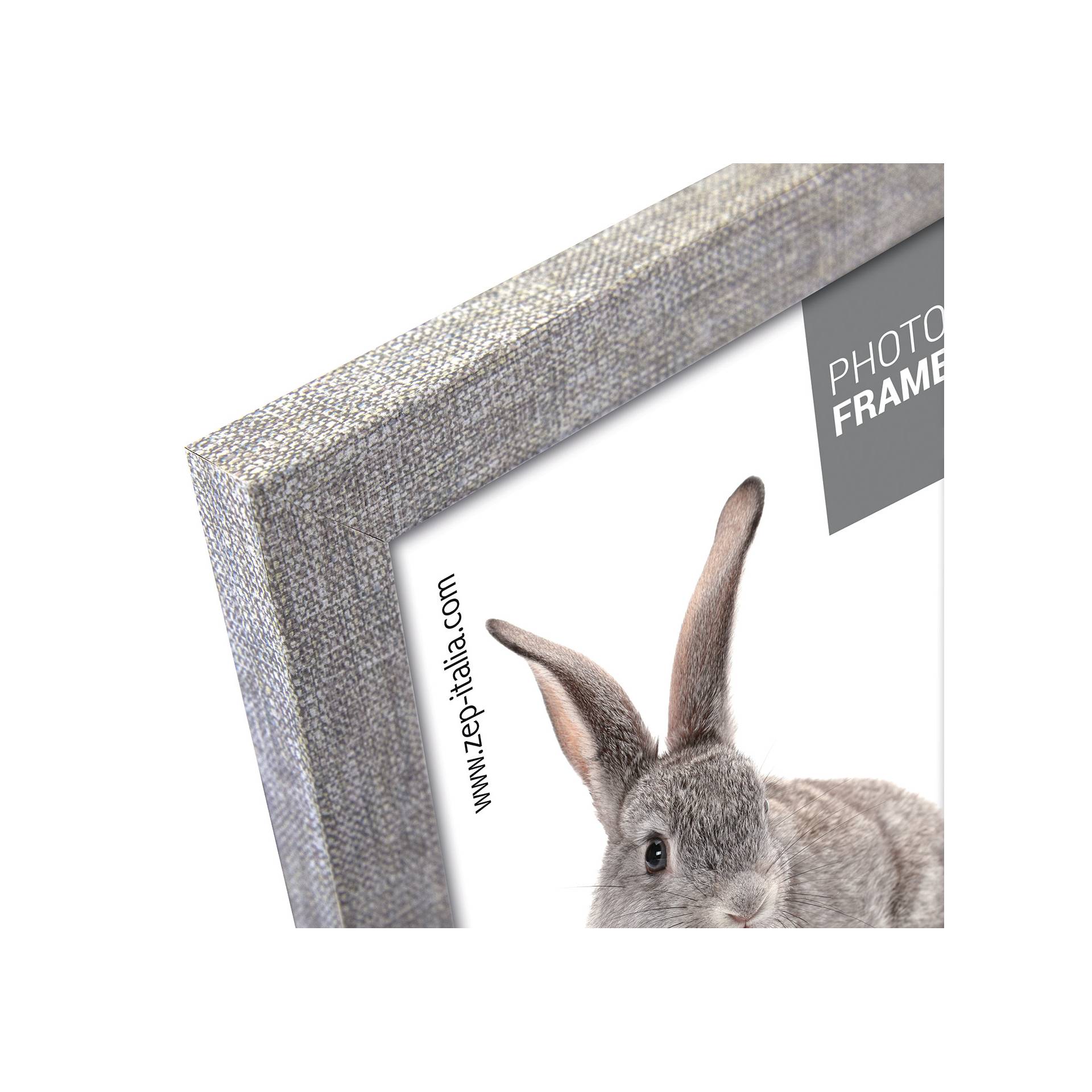 Tier, Säugetier, Ratte, Nagetier