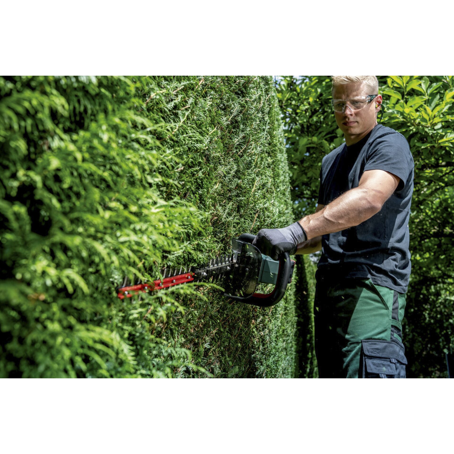 Gras, Garten, Rasen, Mann, Person