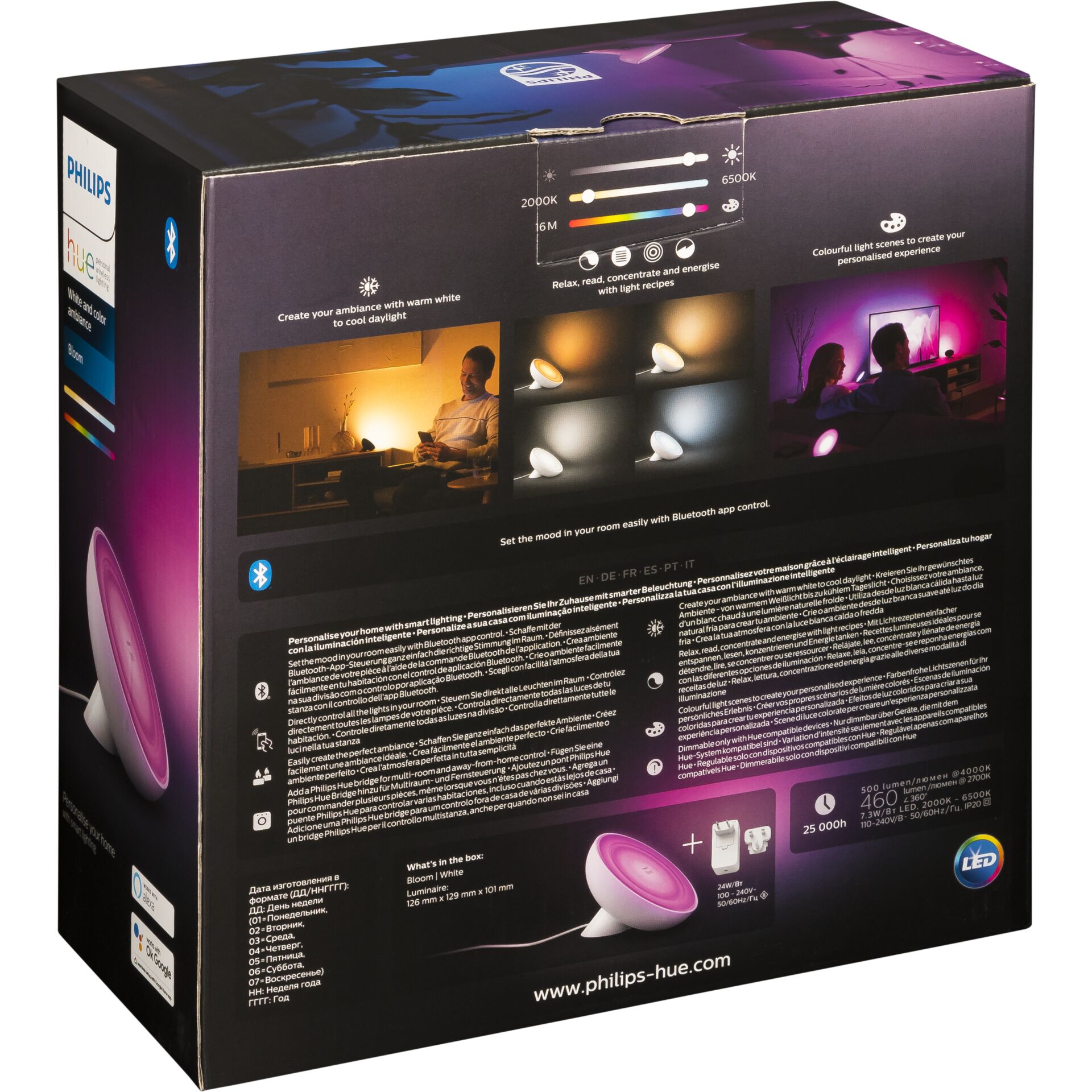 Computerausrüstung, Erwachsener, Männlich, Mann, Person