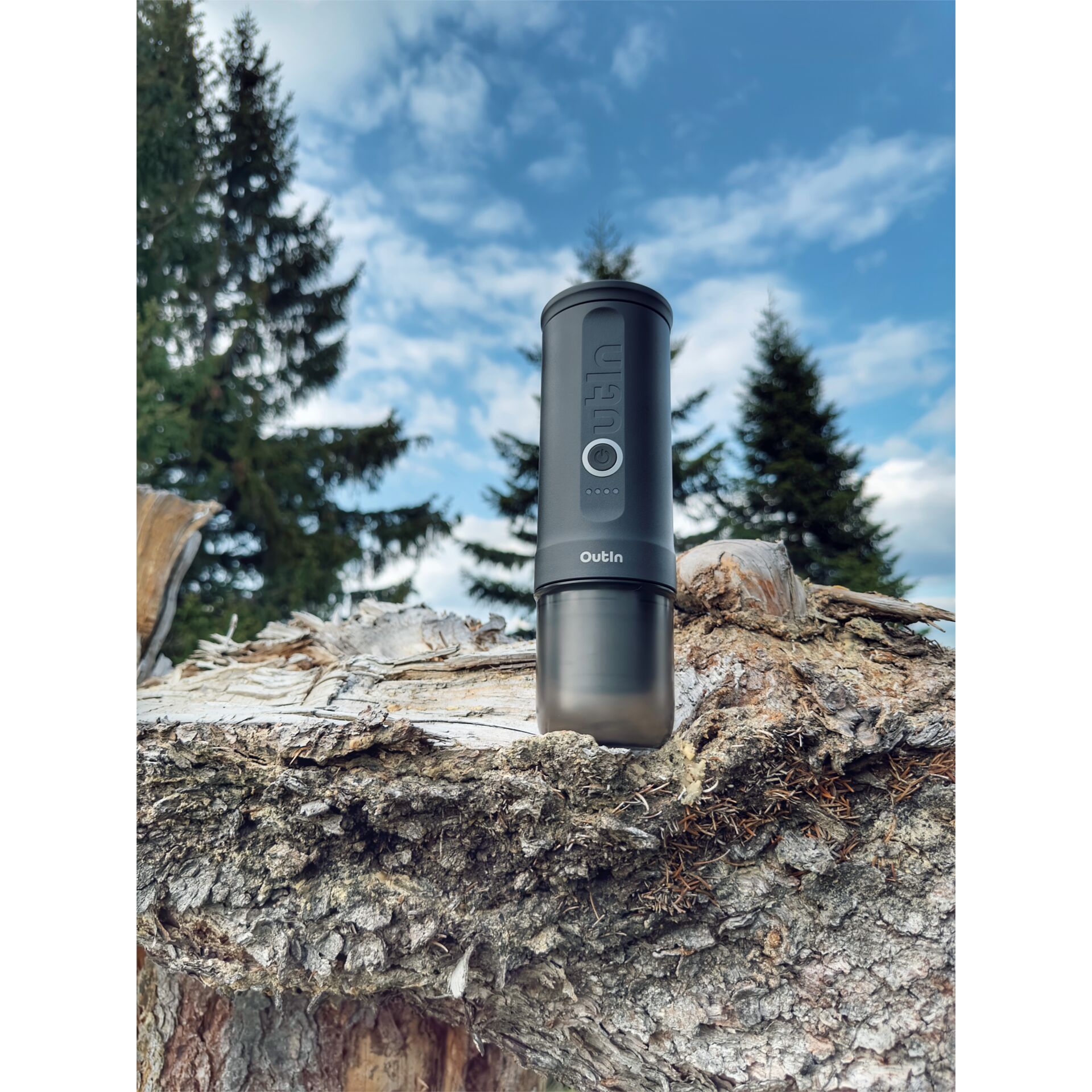 Lampe, Pflanze, Baum