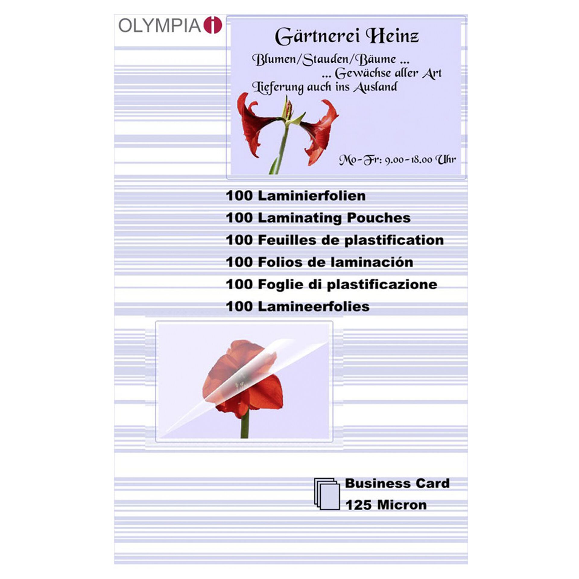 Blume, Pflanze, Rose, Blütenblatt, Text