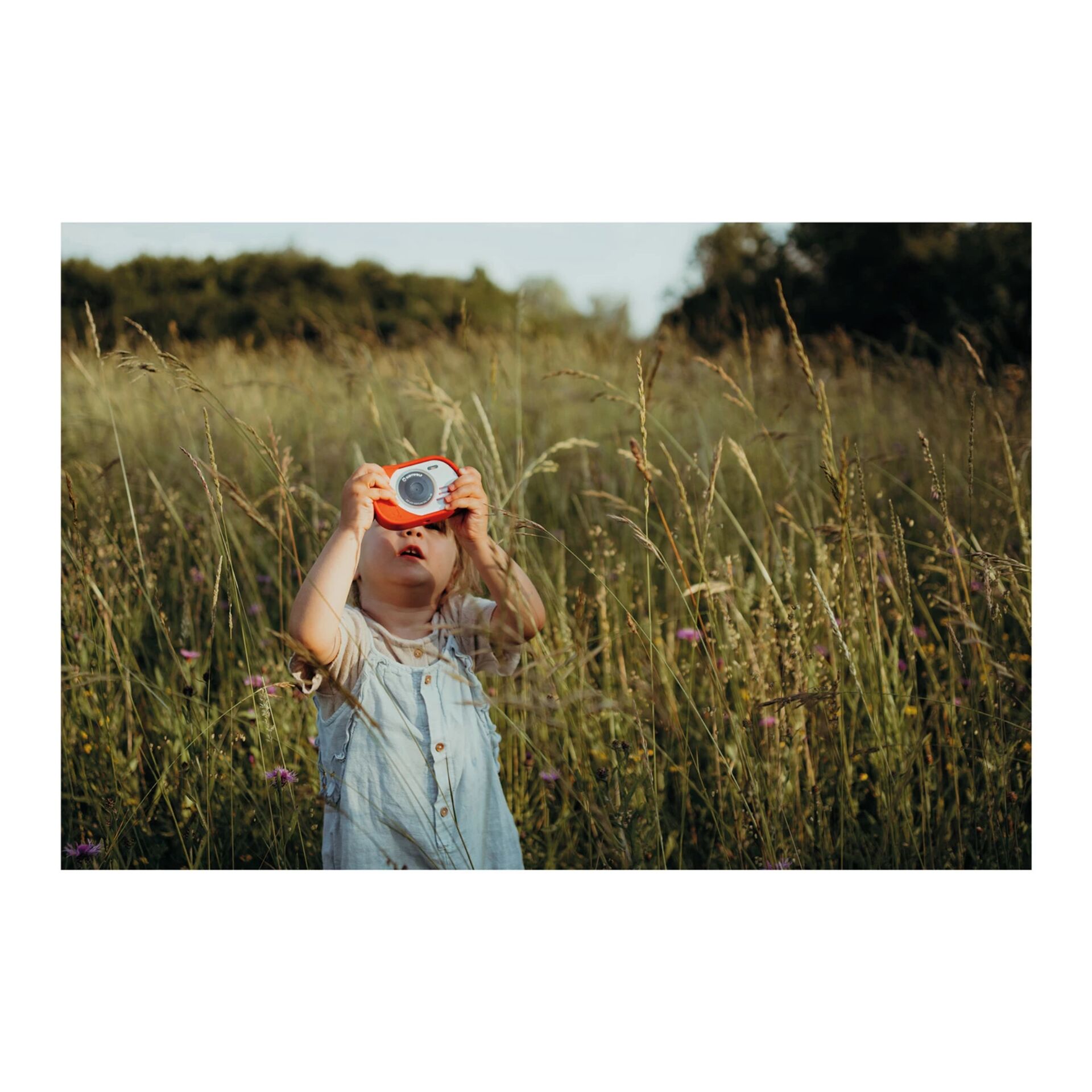 Photographie, Portrait, Feld, Grünland, Gras