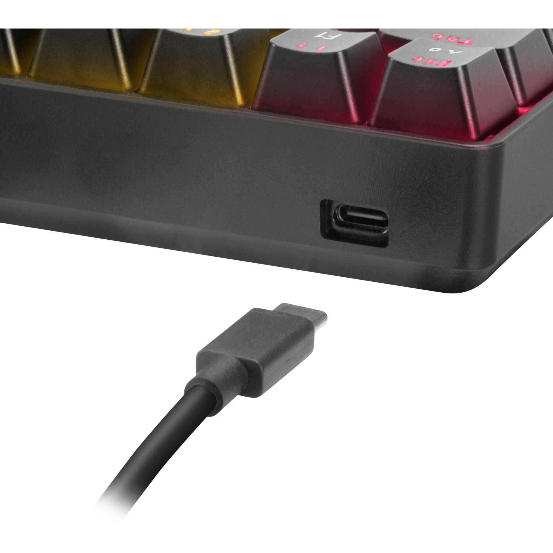 Adapter, Elektronik, Computer-Ausrüstung, Computerausrüstung, Computer-Tastatur