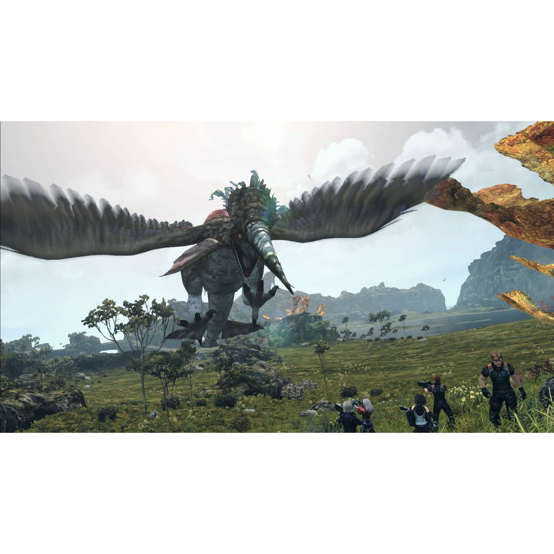 Bekleidung, Handschuh, Person, Vegetation, Vogel