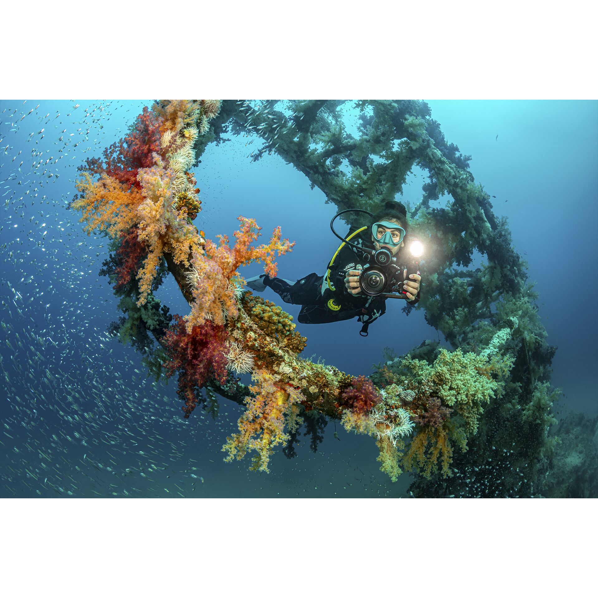 Natur, Draußen, Wasser, Person, Tauchen