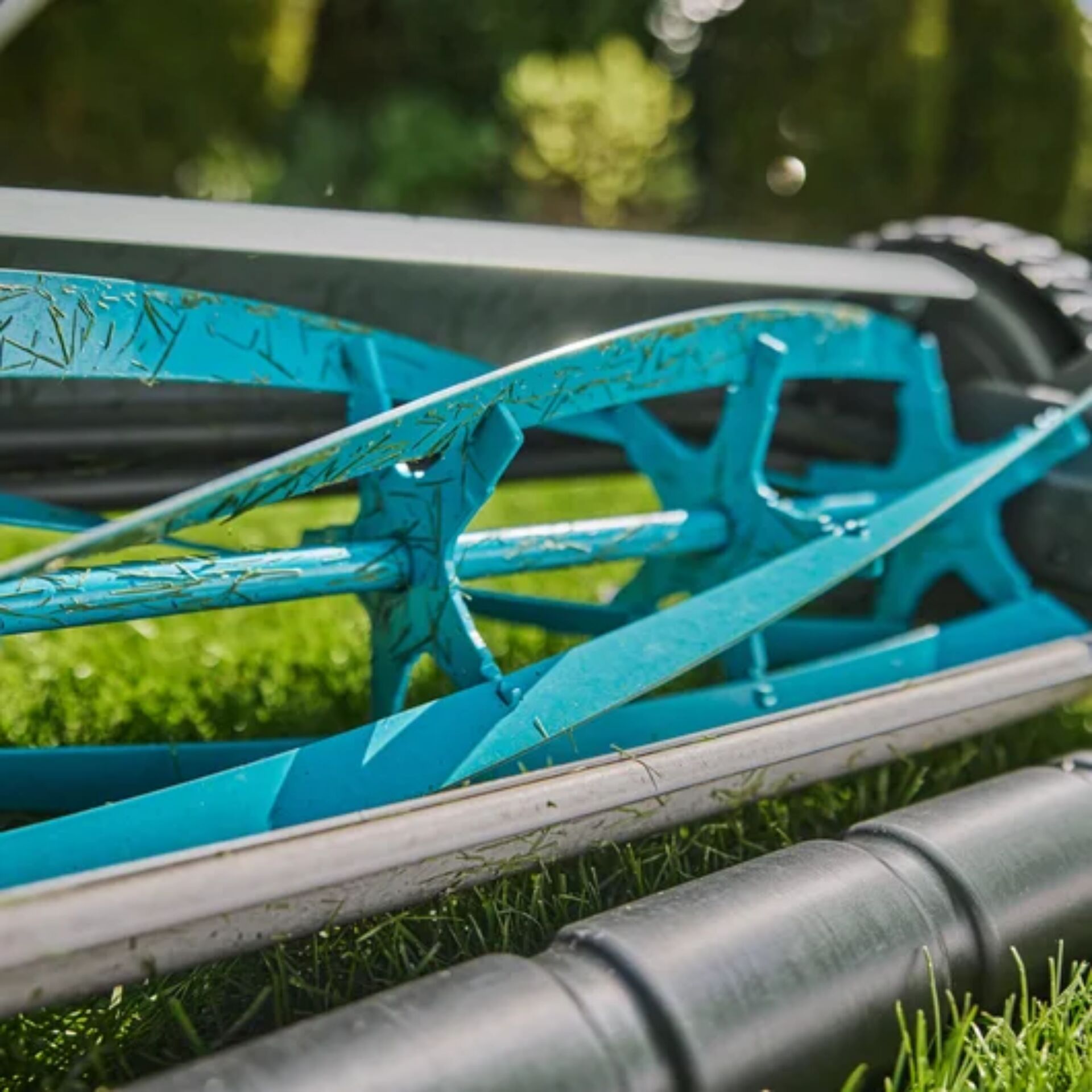 Gras, Pflanze, Rasen, Baseball (Ball), Sport