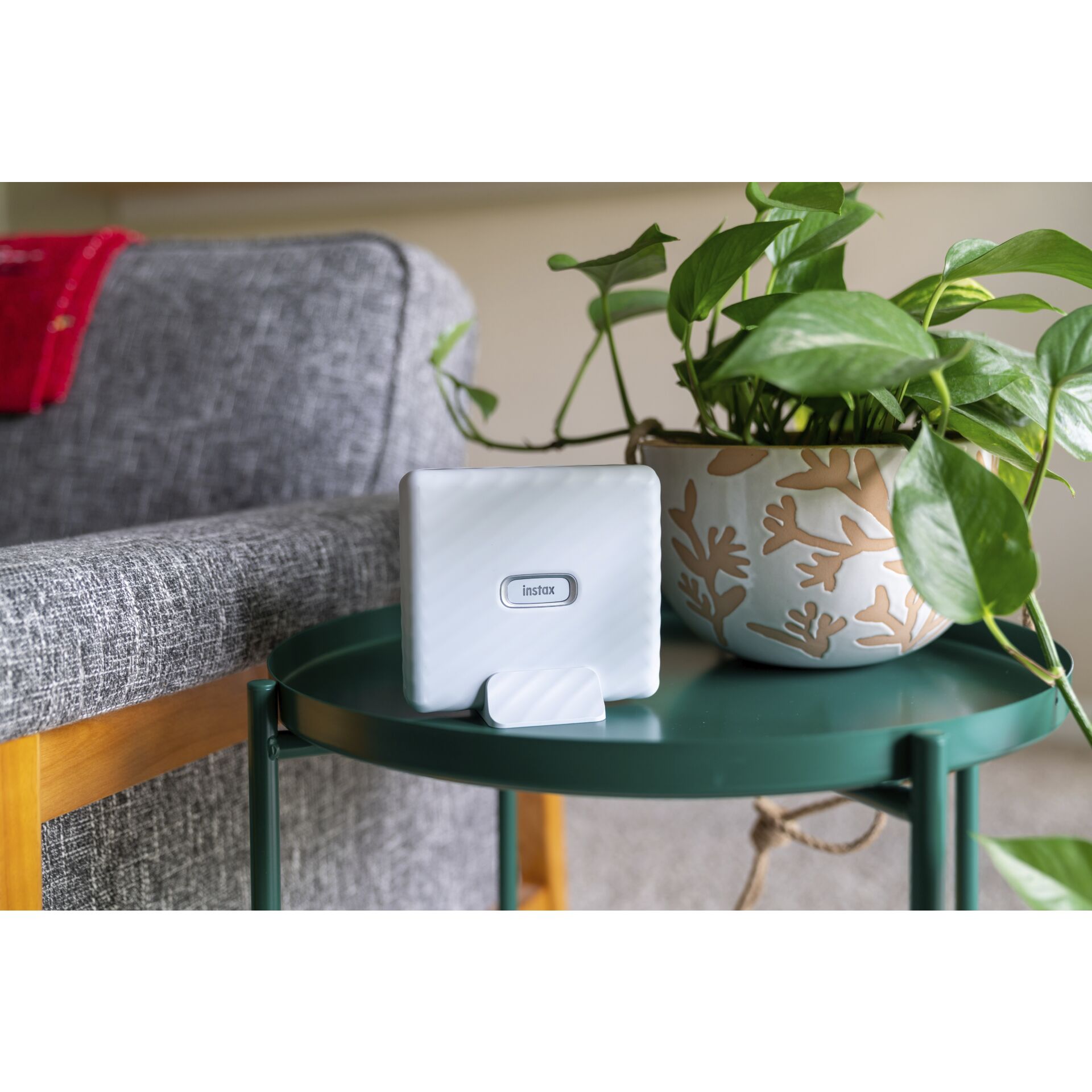 Pflanze, Pflanze im Topf, Töpferei