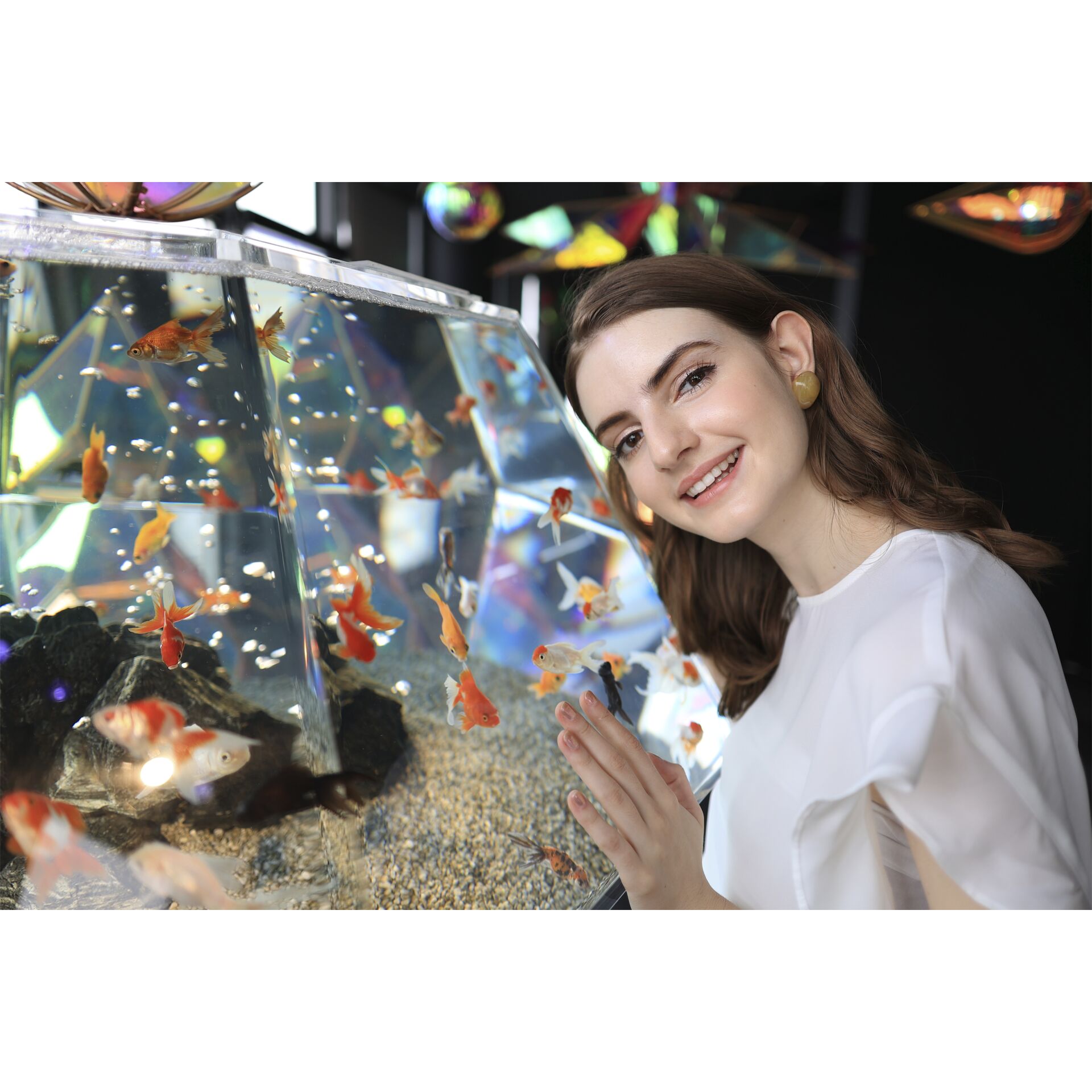 Aquarien, Erwachsener, Weiblich, Person, Frau