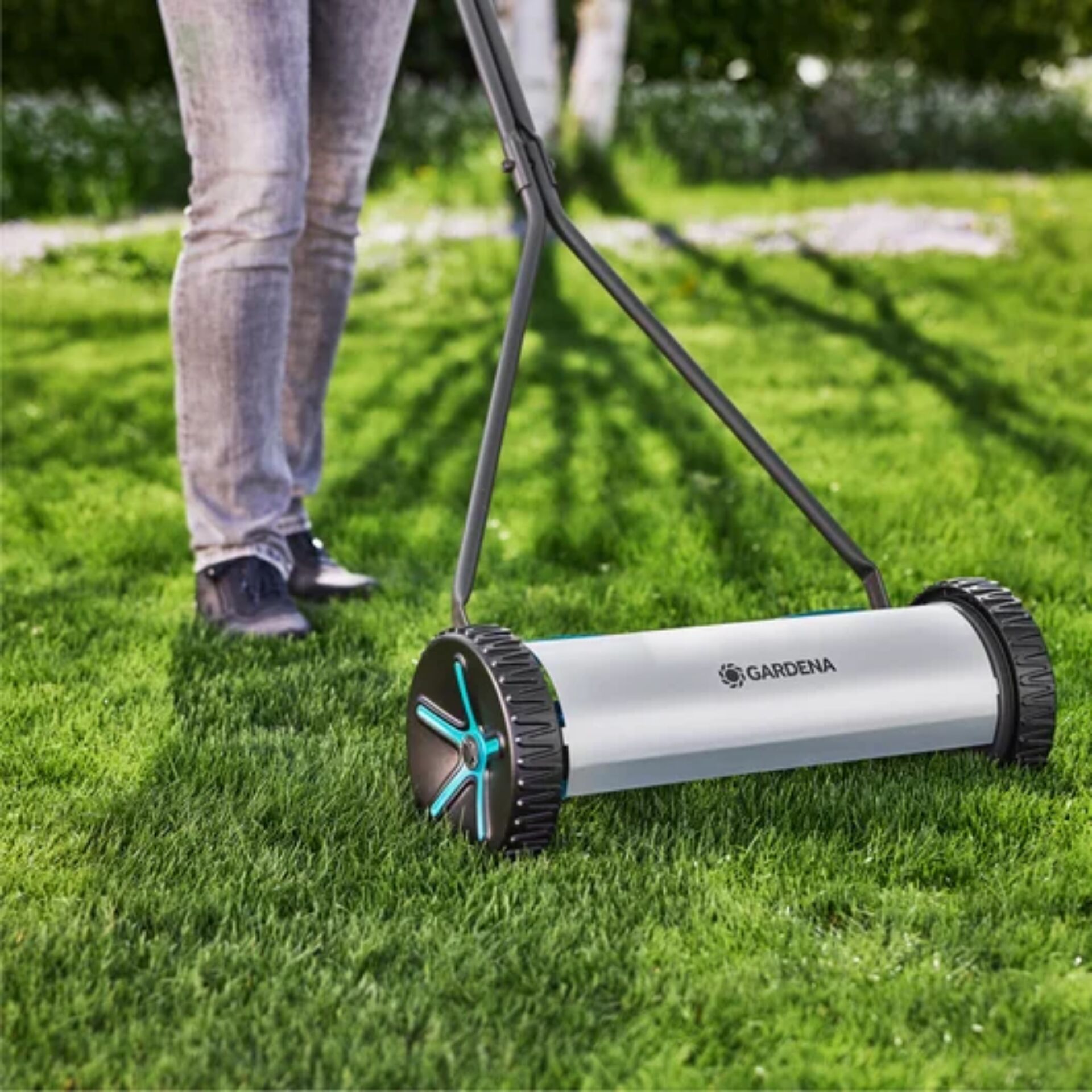 Gras, Rasen, Pflanze, Gerät, Rasenmäher