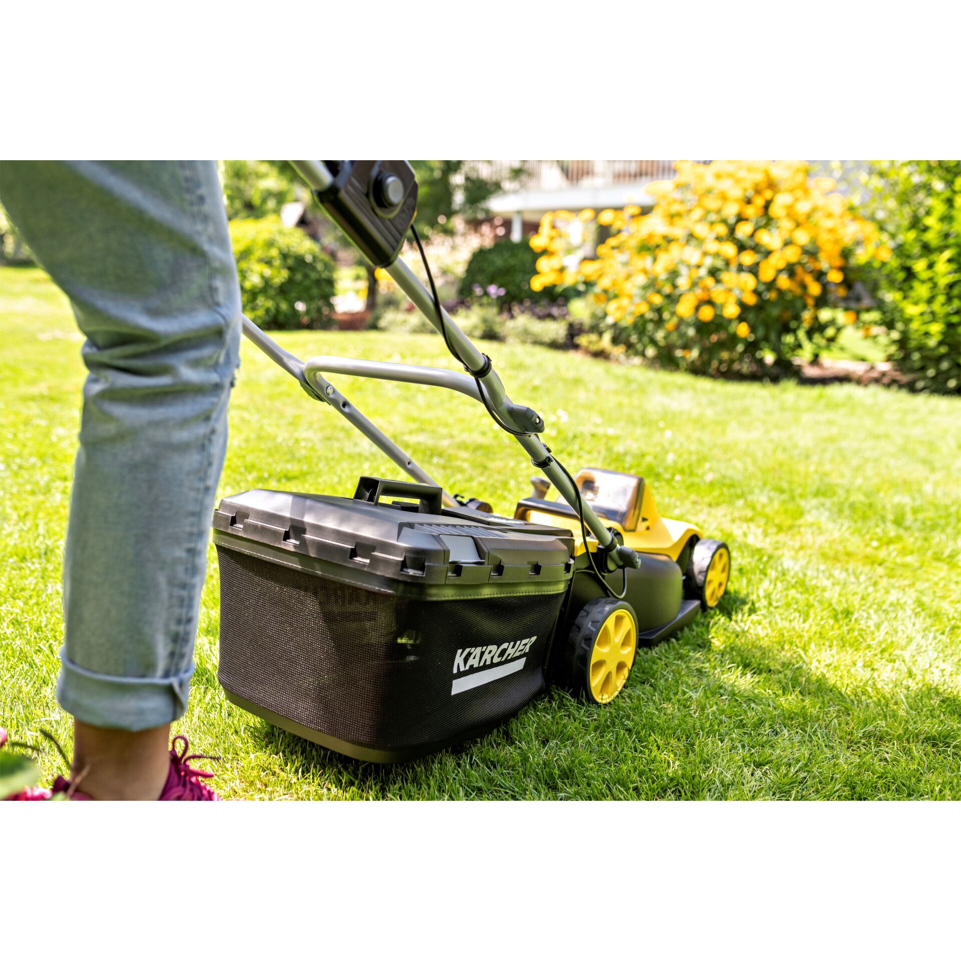 Gras, Rasen, Pflanze, Gerät, Rasenmäher