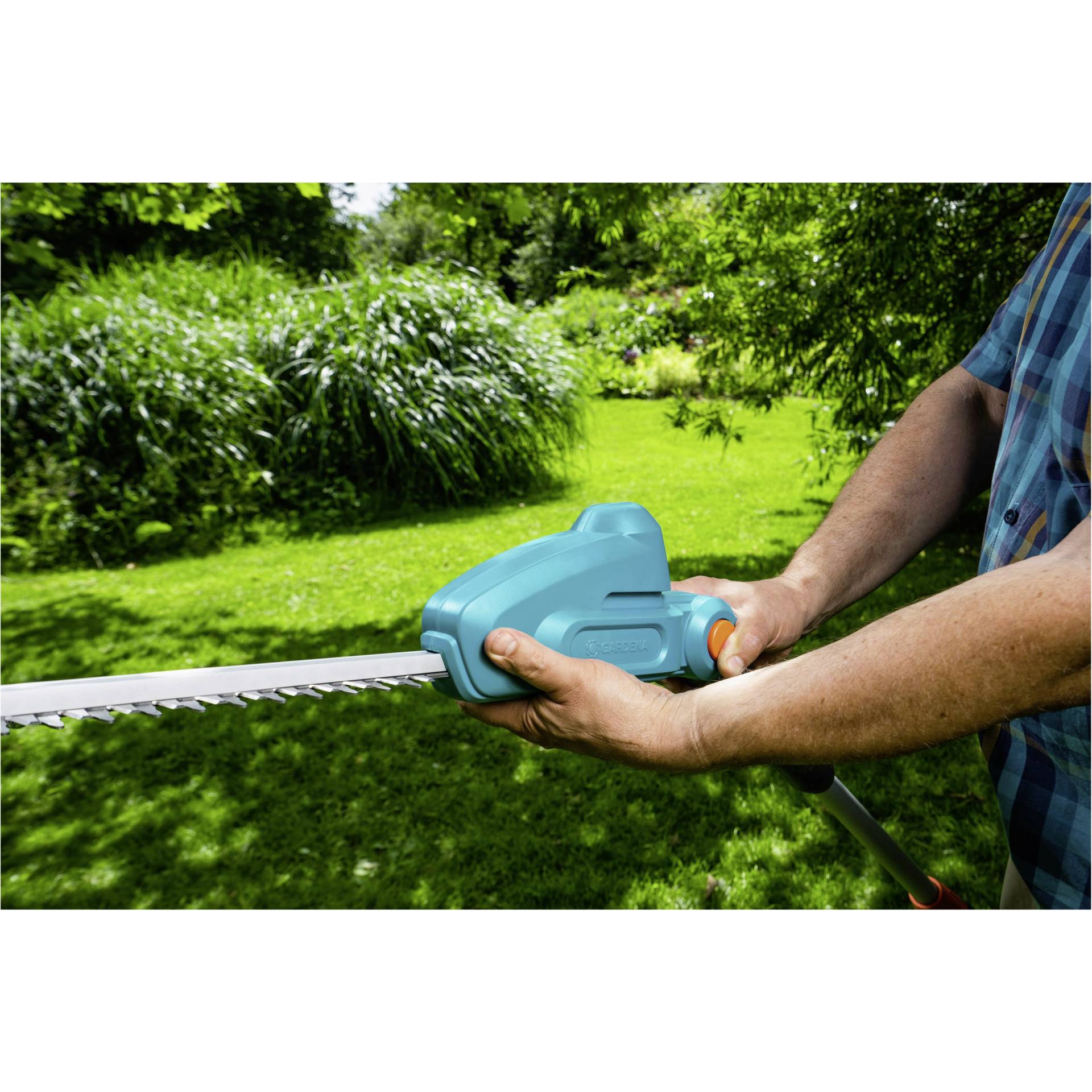 Gras, Pflanze, Rasen, Garten, Gerät