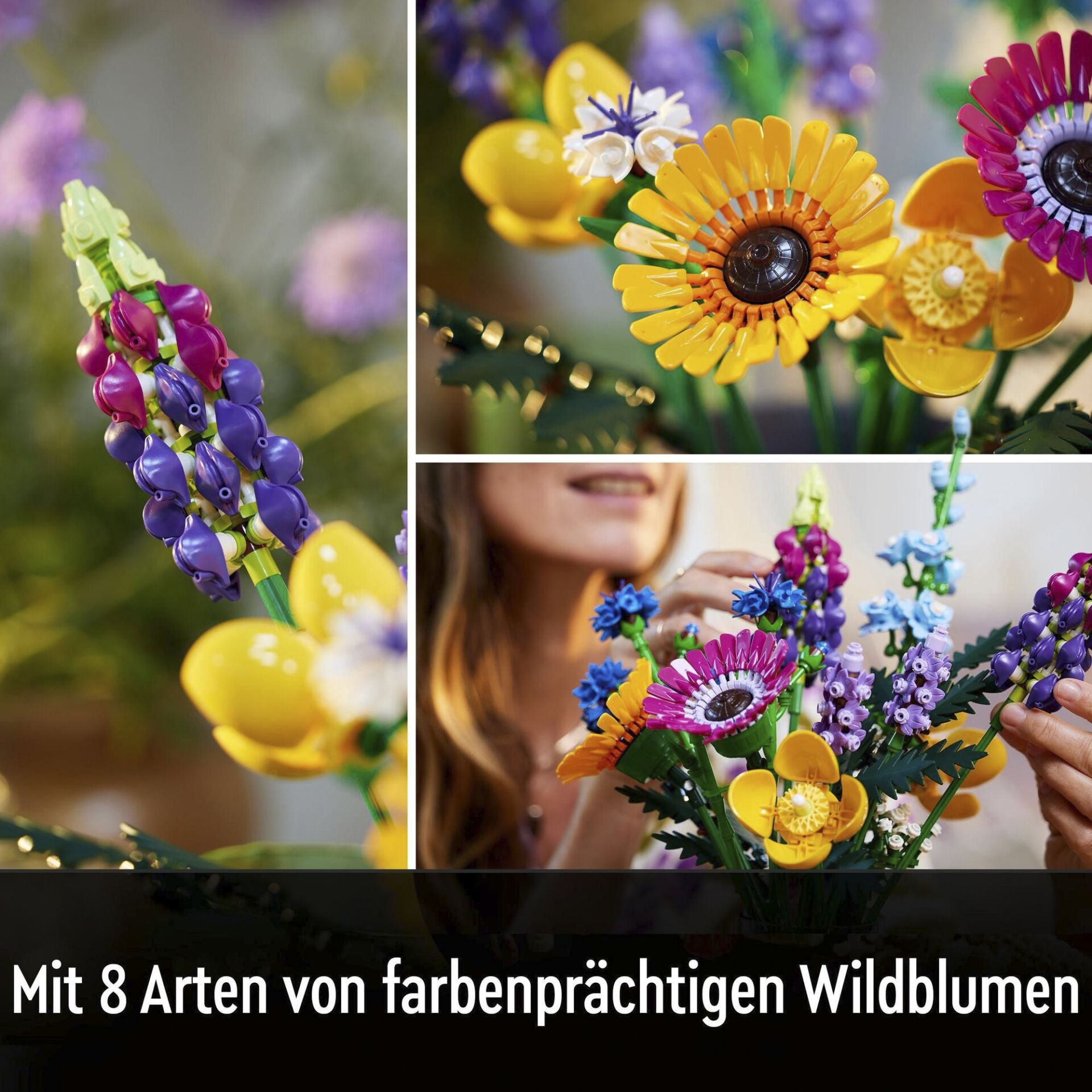 Blume, Collage, Purpur, Anemone, Blumenstrauß