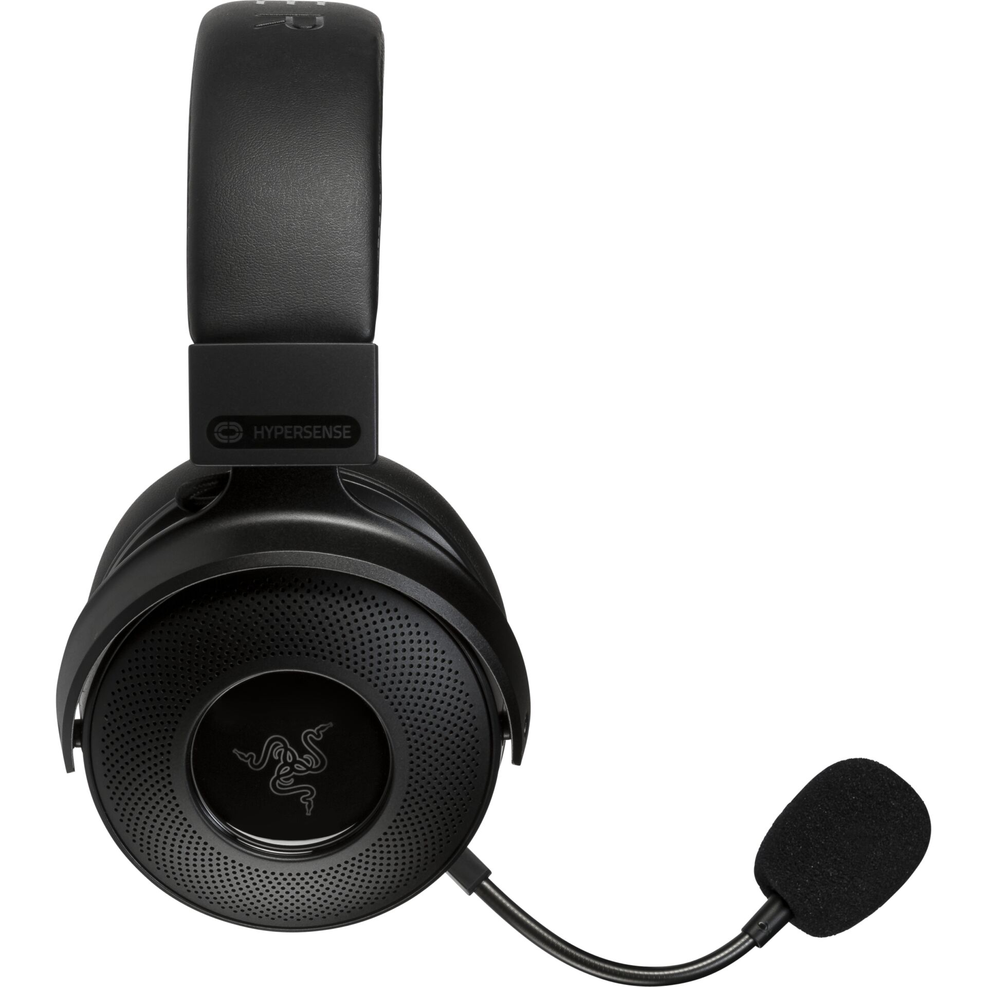 Elektrisches Gerät, Mikrophon, Elektronik, Kopfhörer