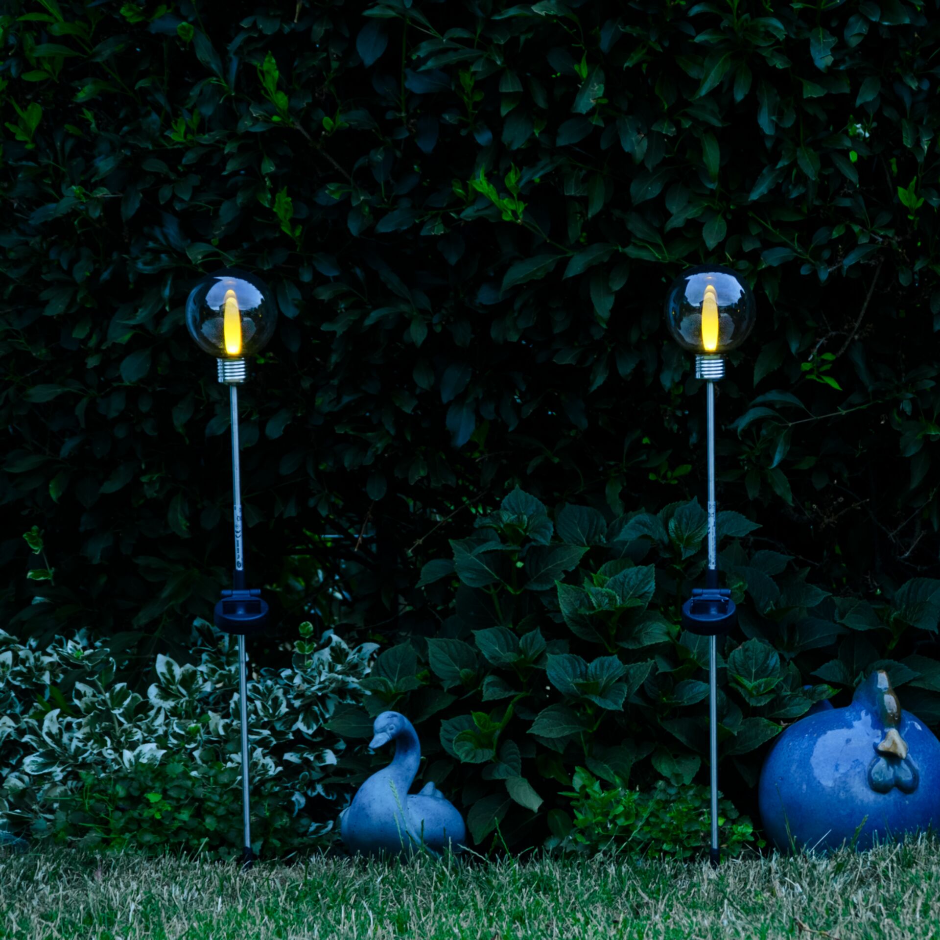 Beleuchtung, Gras, Pflanze, Sphäre