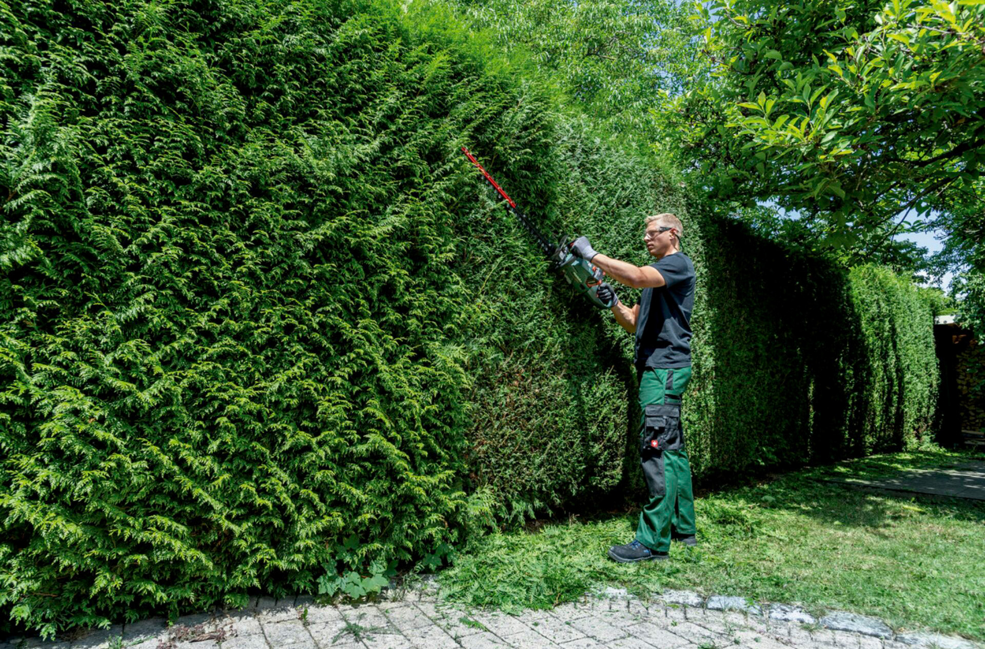 Hecken, Rasentrimmer, Garten, Gartenwerkzeug, Arbeitshandschuhe