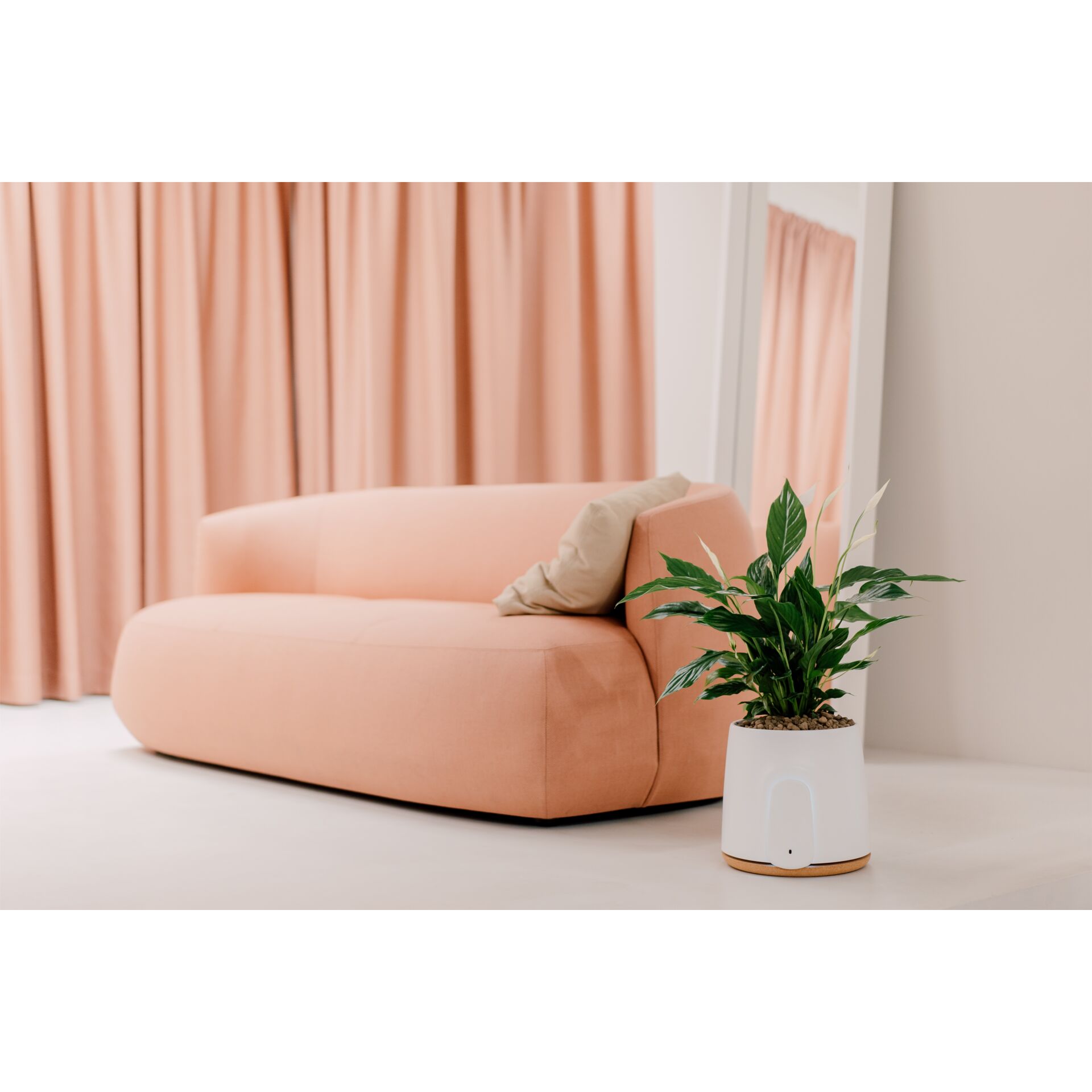 Couch, Mobiliar, Pflanze, Kissen, Innenarchitektur