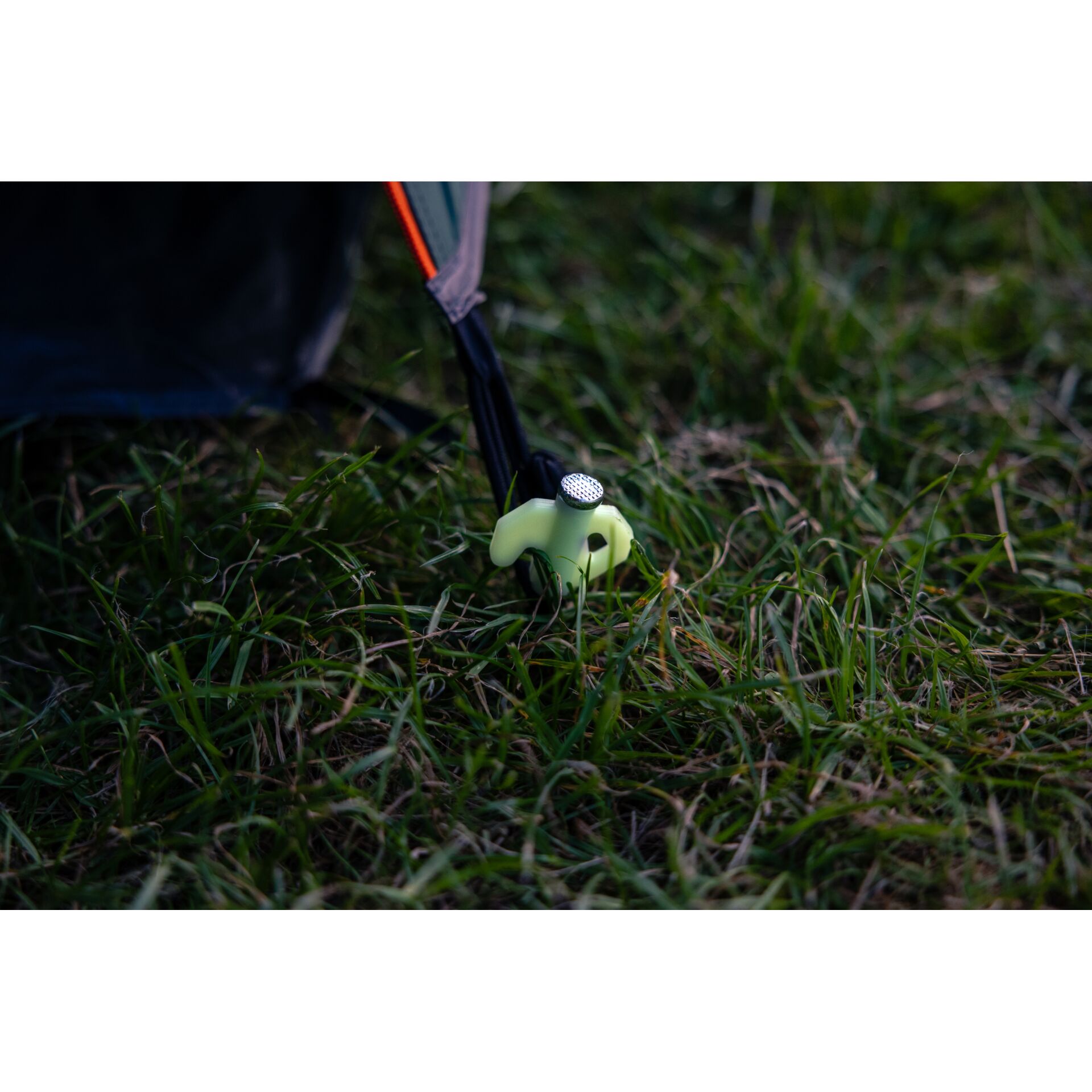 Gras, Pflanze, Sport, Tennis, Tennisball