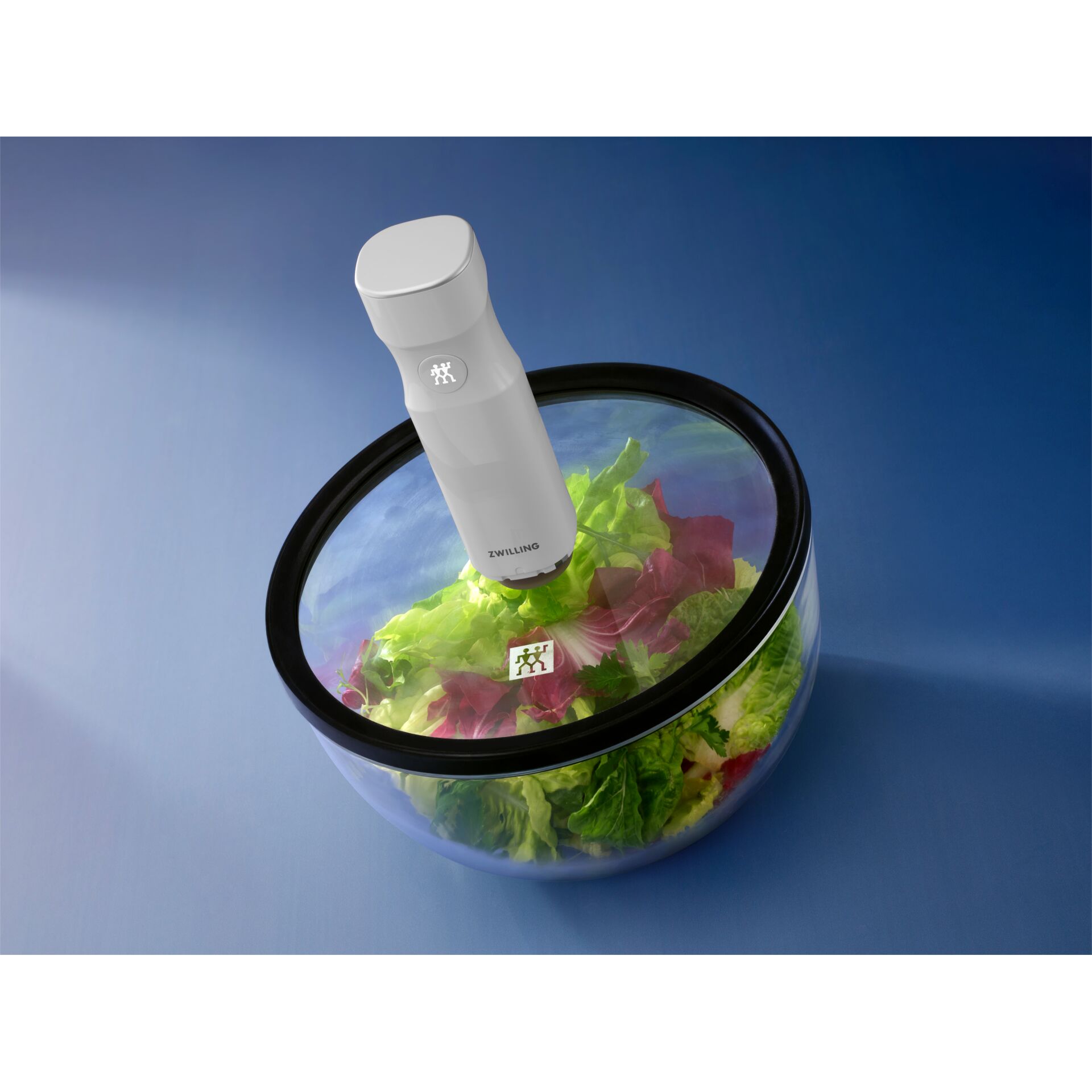 Salatschleuder, Glasschüssel, Vakuumdeckel, Kunststoffpumpe, Schwarz-weiß