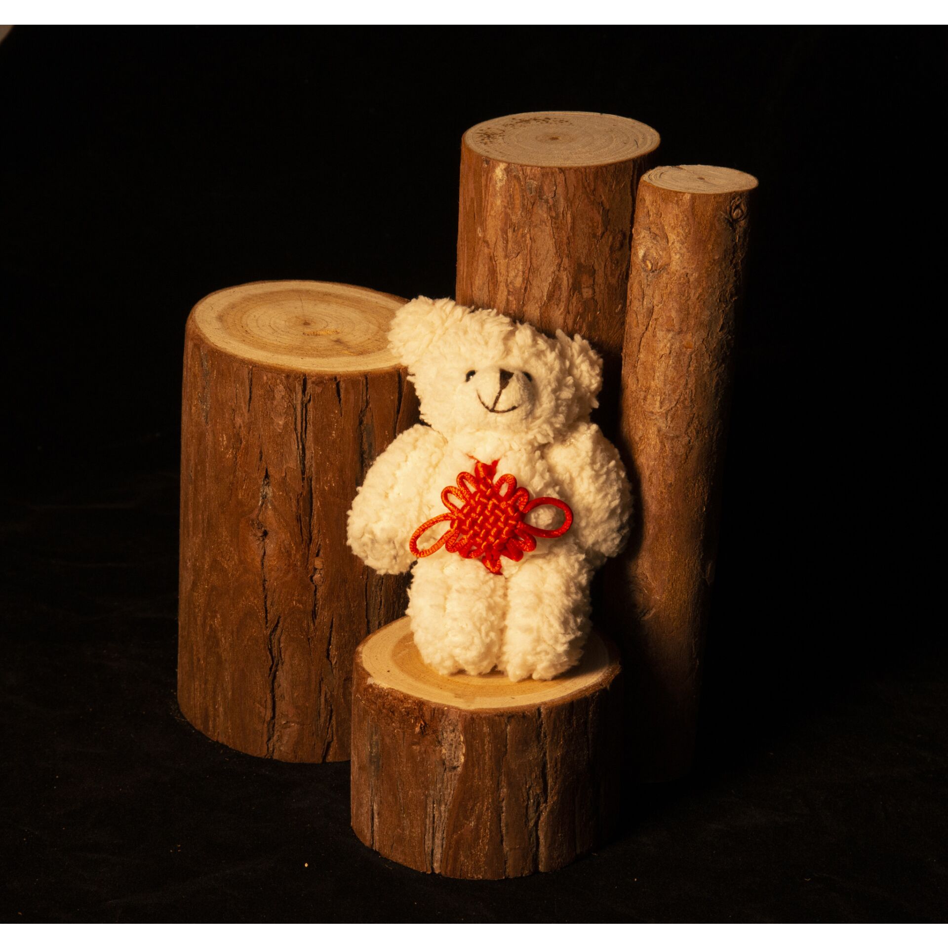 Pflanze, Baum, Holz, Teddybär, Spielzeug