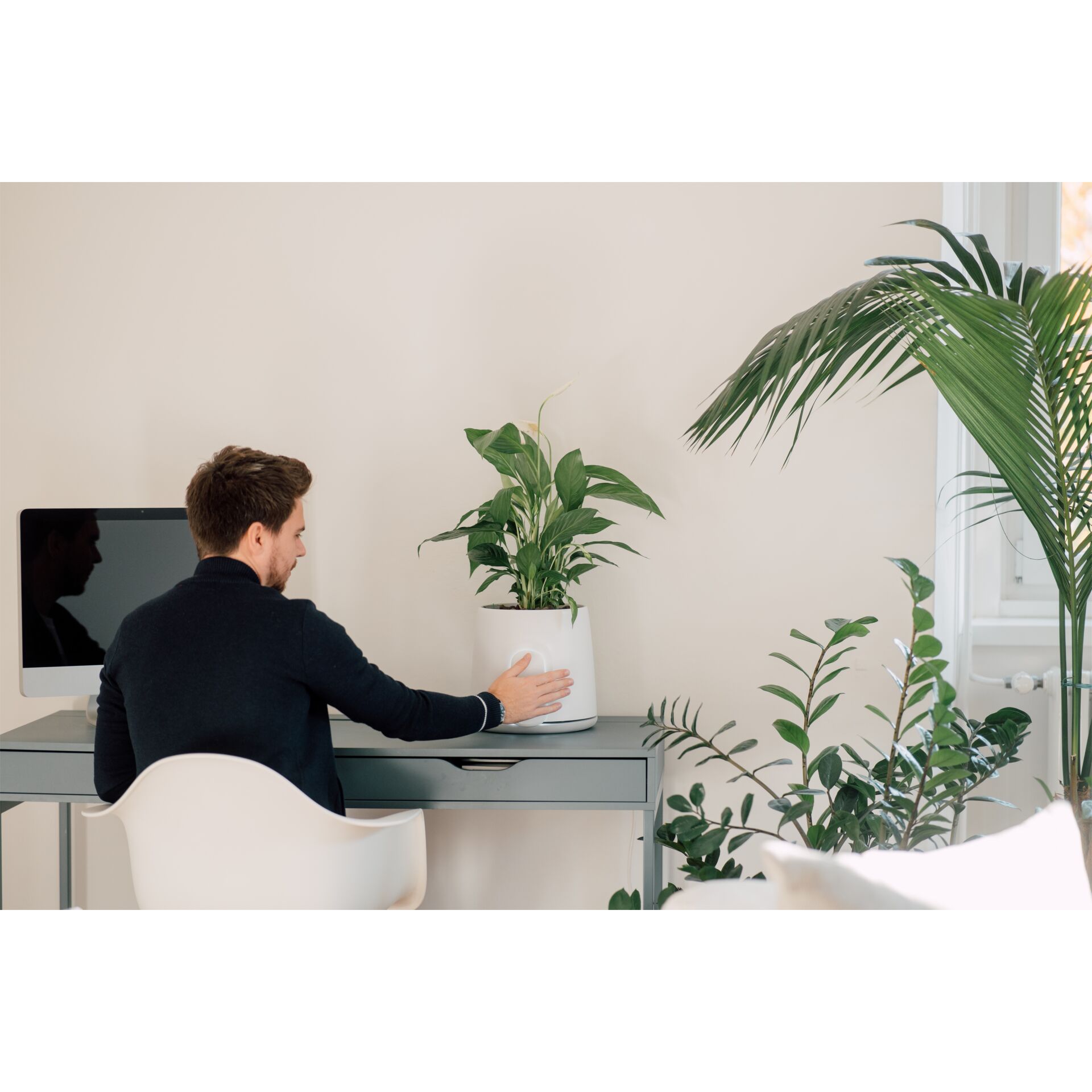 Moebel, Tabelle, Schreibtisch, Sitzend, Pflanze