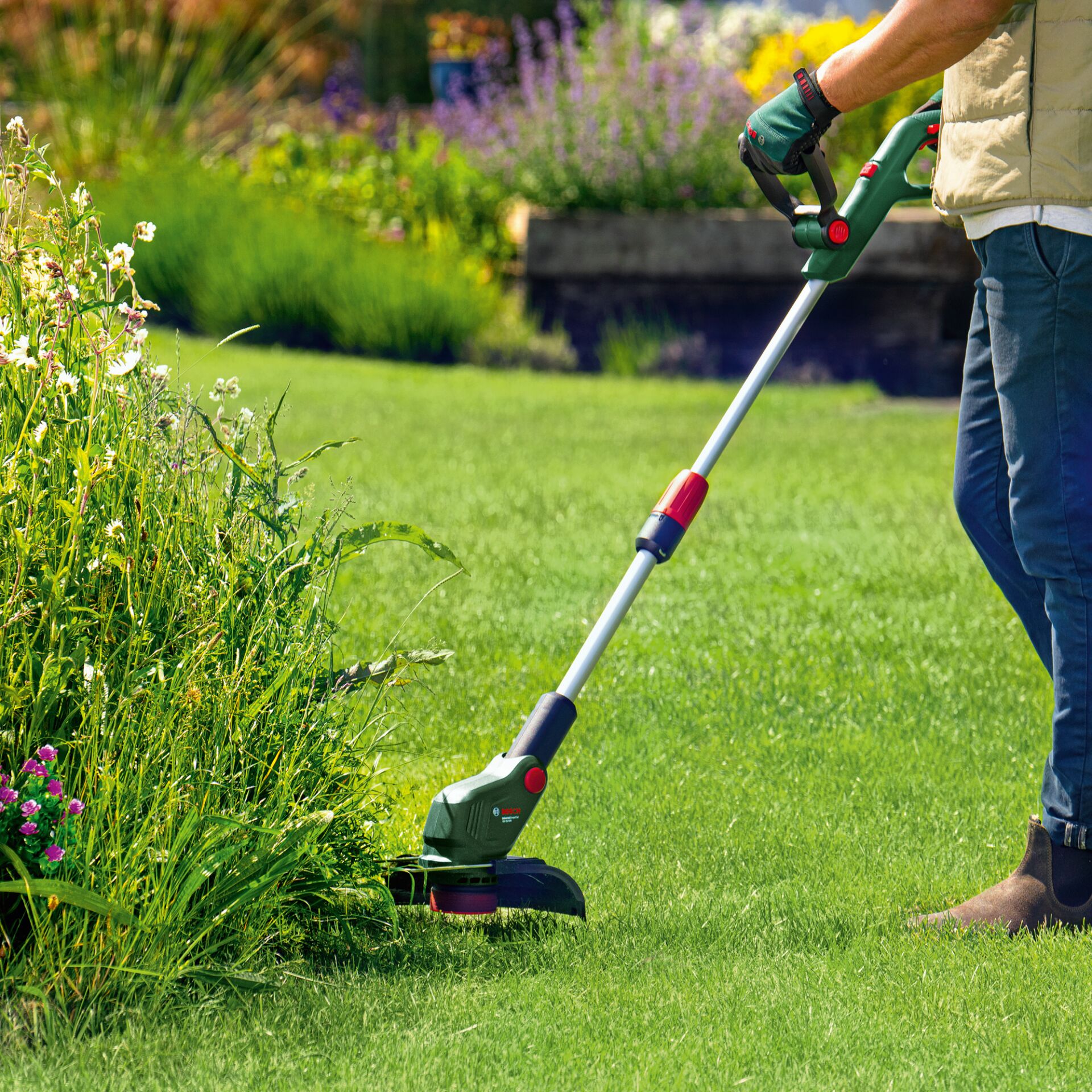 Gras, Rasen, Gerät, Rasenmäher, Rasen mähen