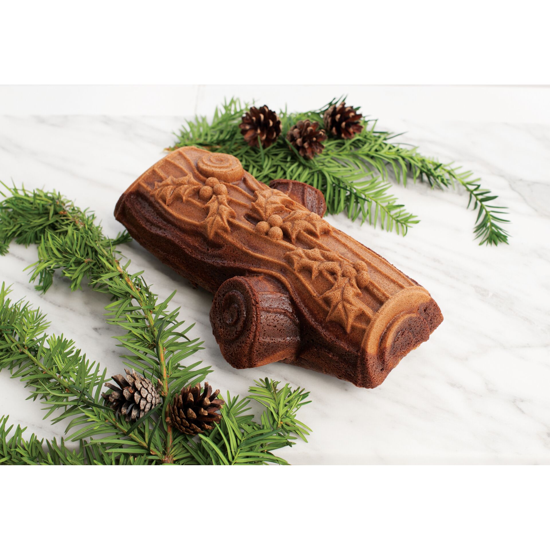 Pflanze, Baum, Holz, Konifer