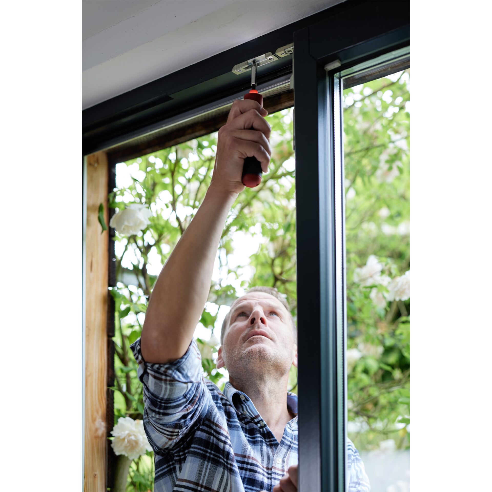 Drinnen, Innenarchitektur, Fenster