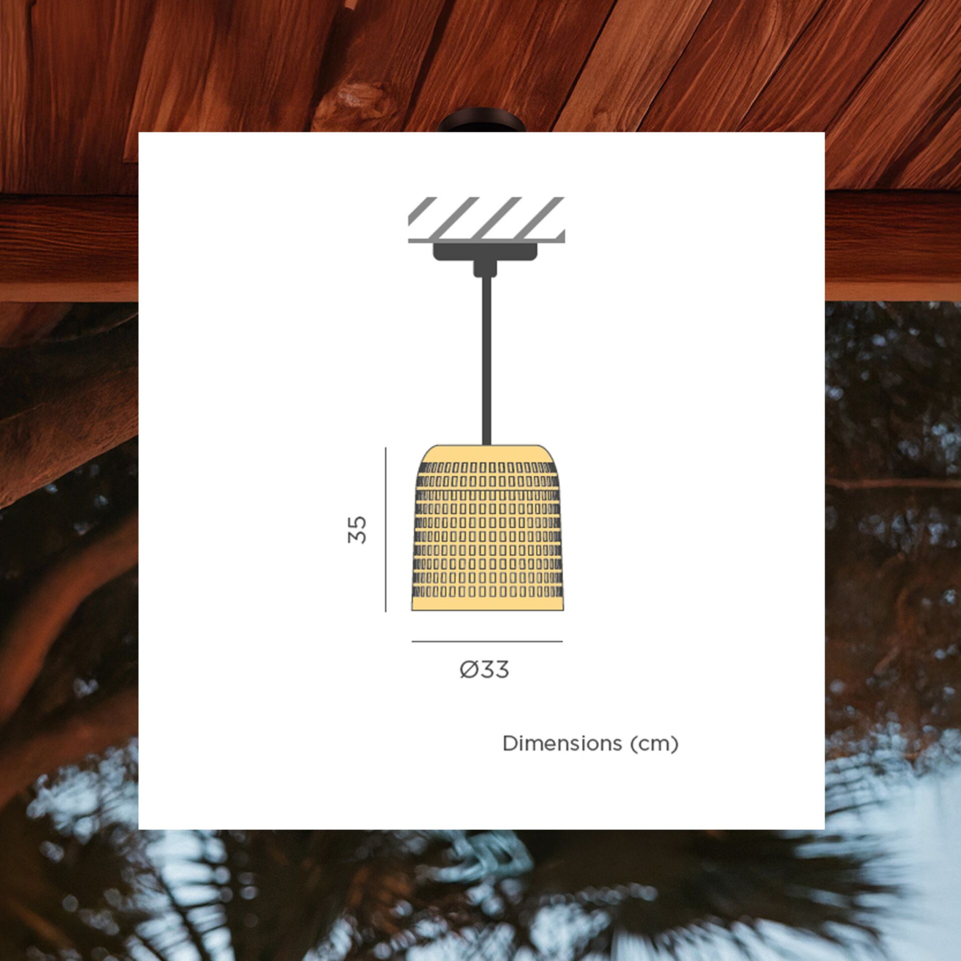 Visitenkarte, Papier, Text