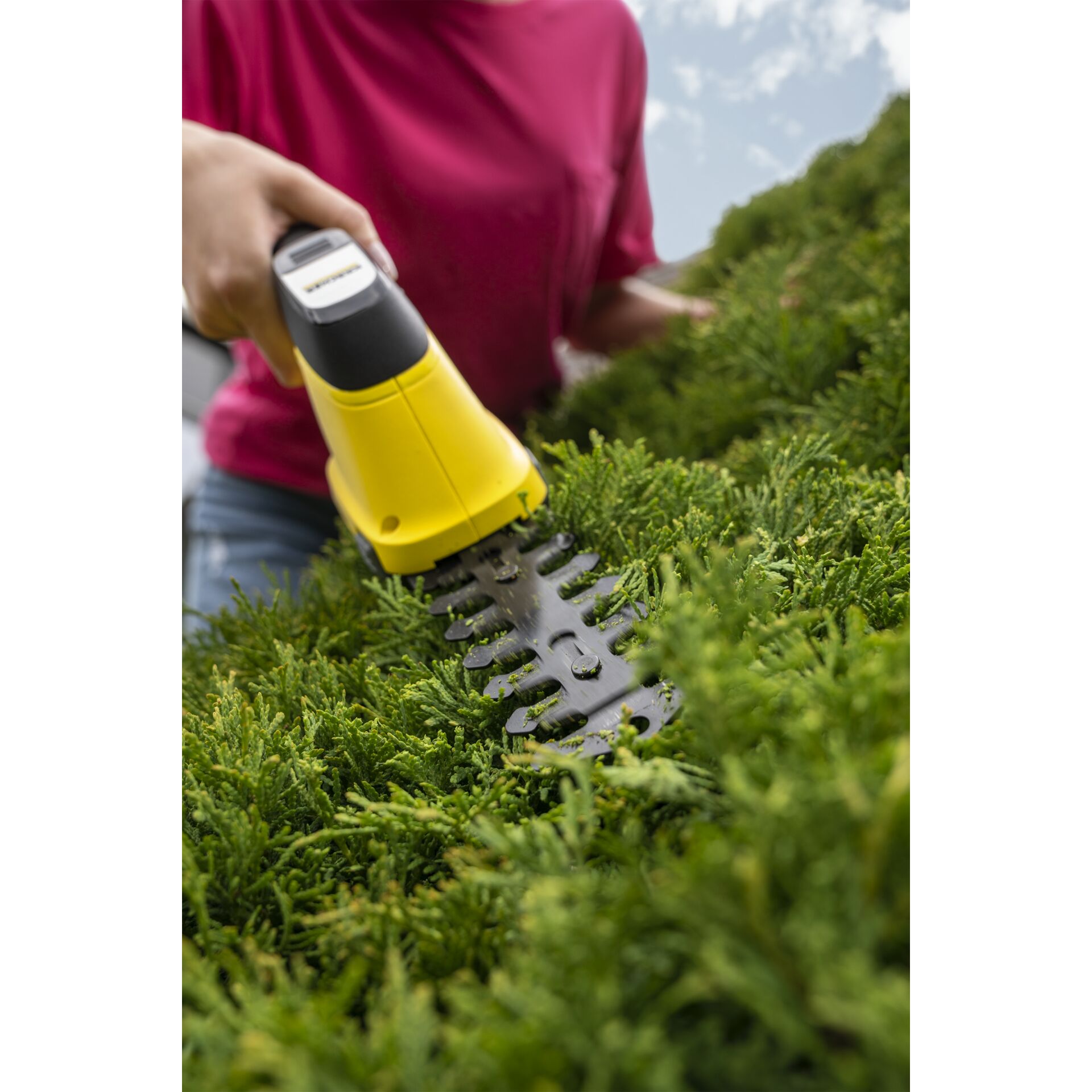 Gras, Pflanze, Rasen, Person