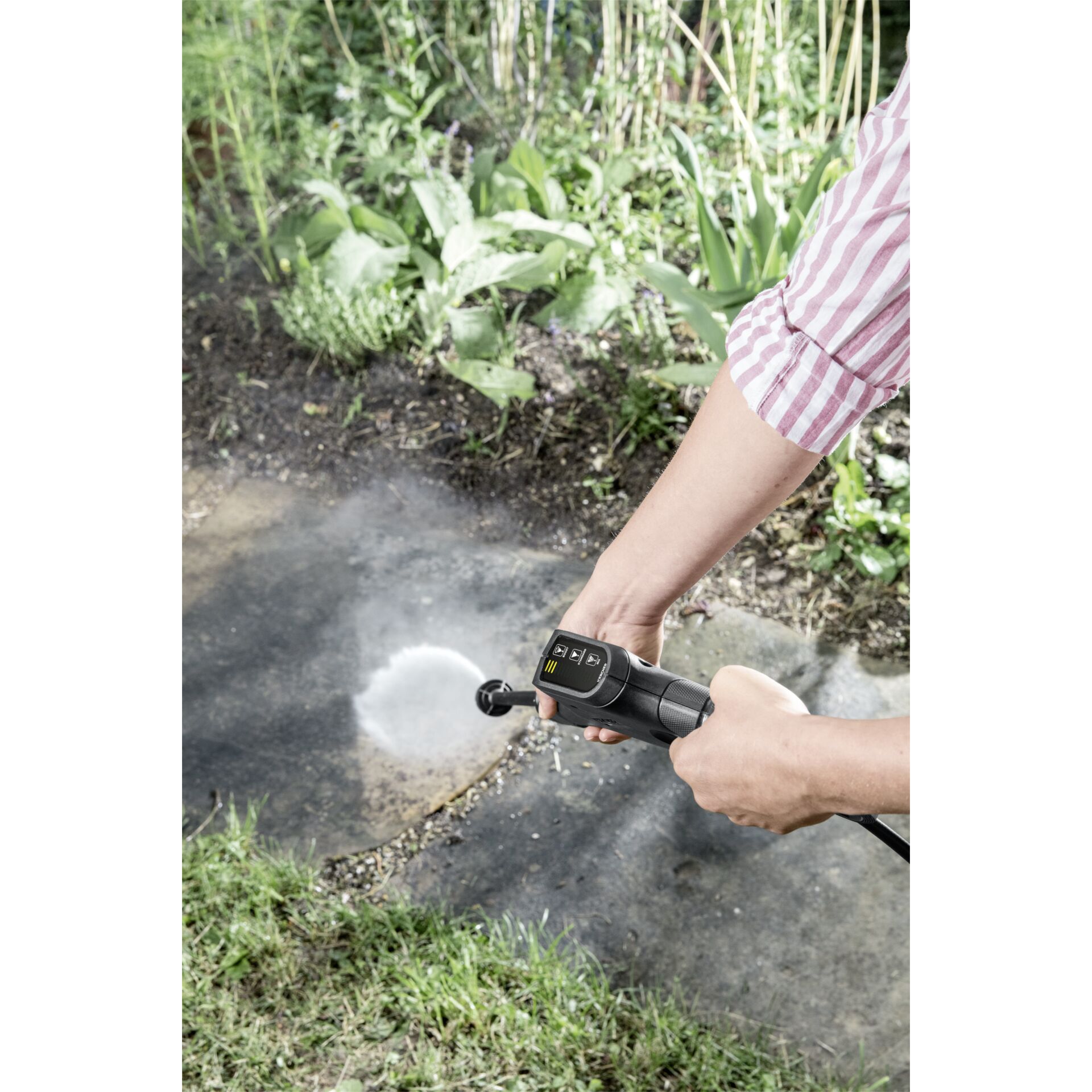 Garten, Natur, Draußen