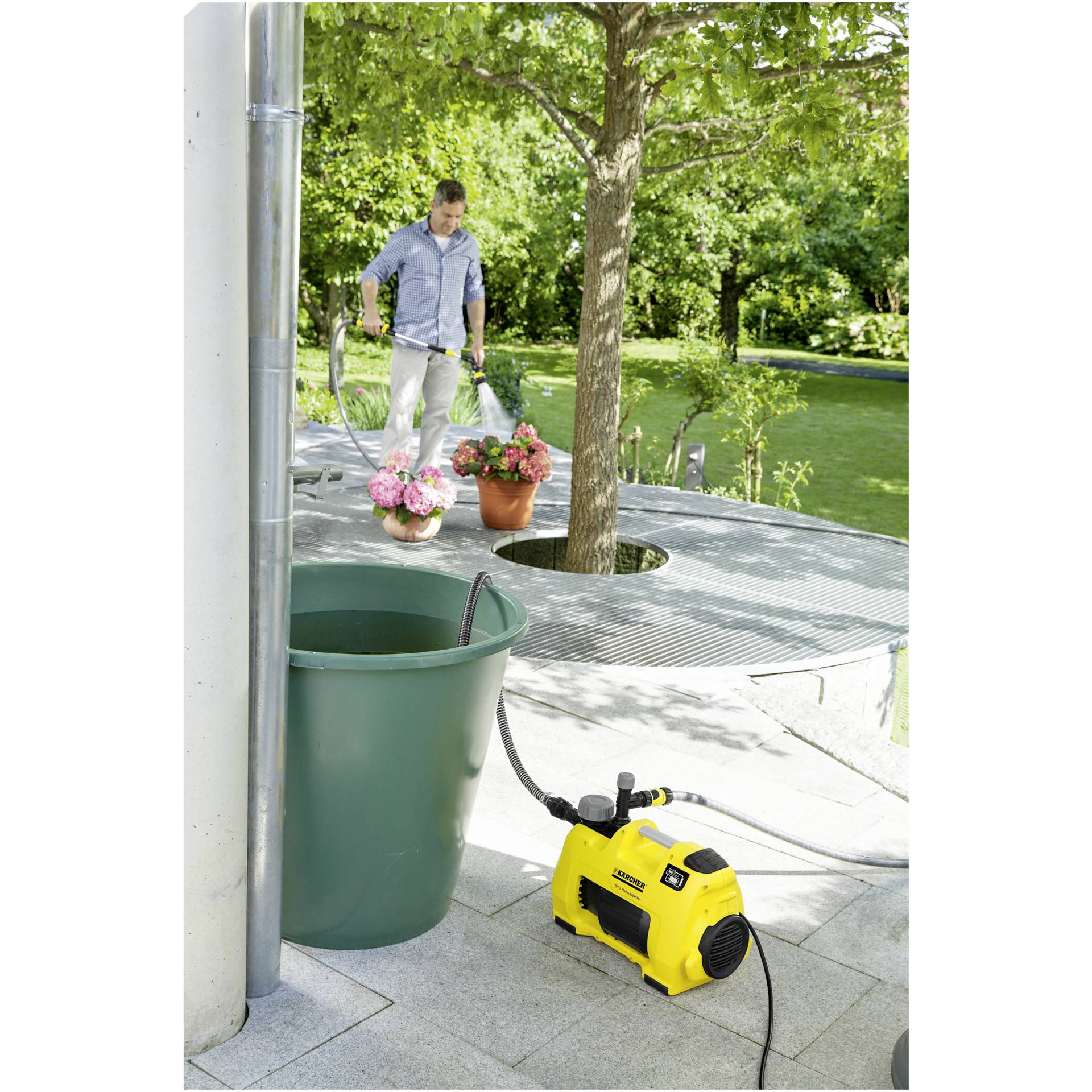 Gras, Garten, Topfpflanze, Person, Rasen