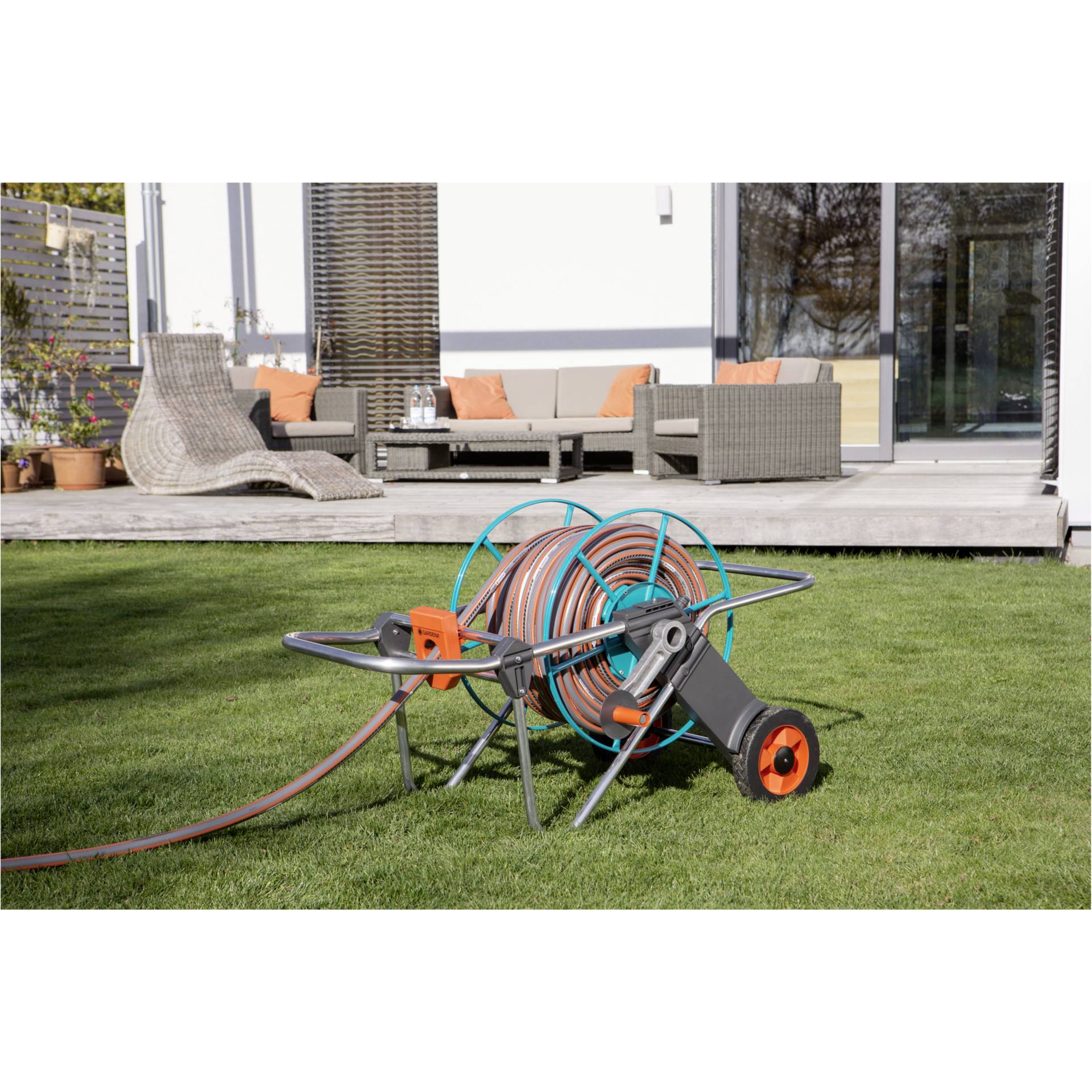 Gras, Pflanze, Rasen