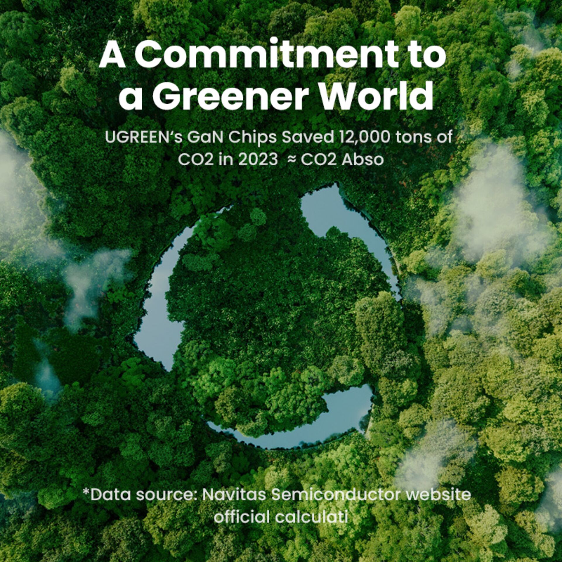 Pflanzenwuchs, Land, Natur, Wald, Regenwald