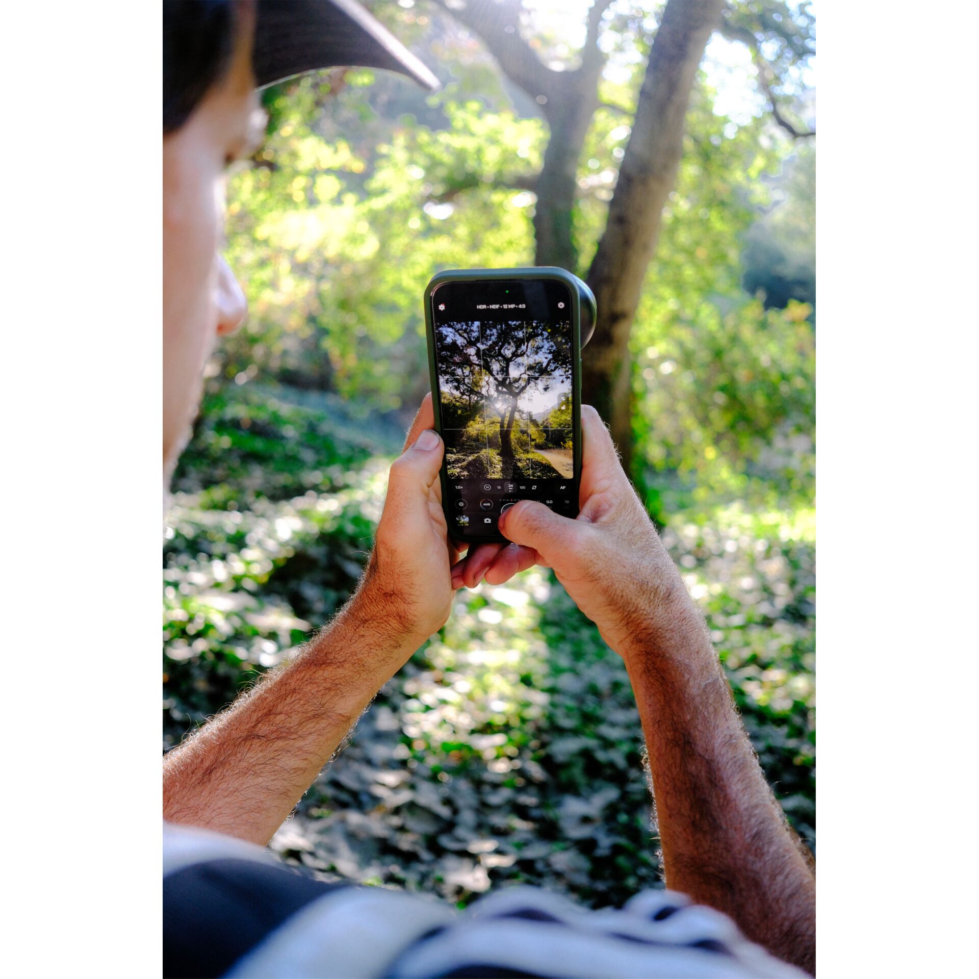 smartphone, Handheld device, Kamerabild, Draußen, Wald, Smartphone, Telefon, Fotografie, Baumreflexion, Waldlandschaft, Handheld device, Smartphone, Taking photo, Outdoors, Baum Szene