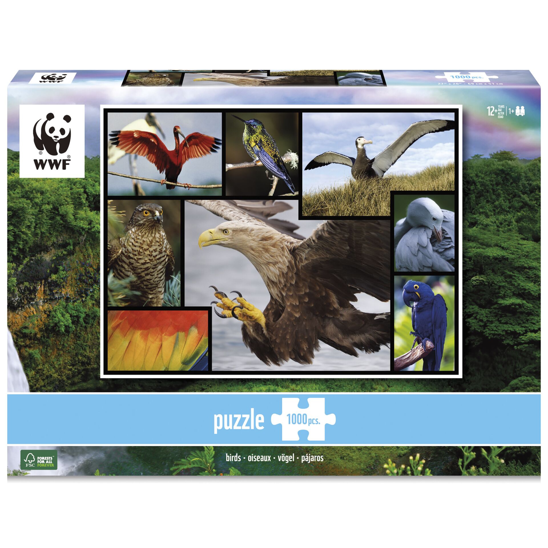 Schnabel, Vogel, Geier, Person, Adler