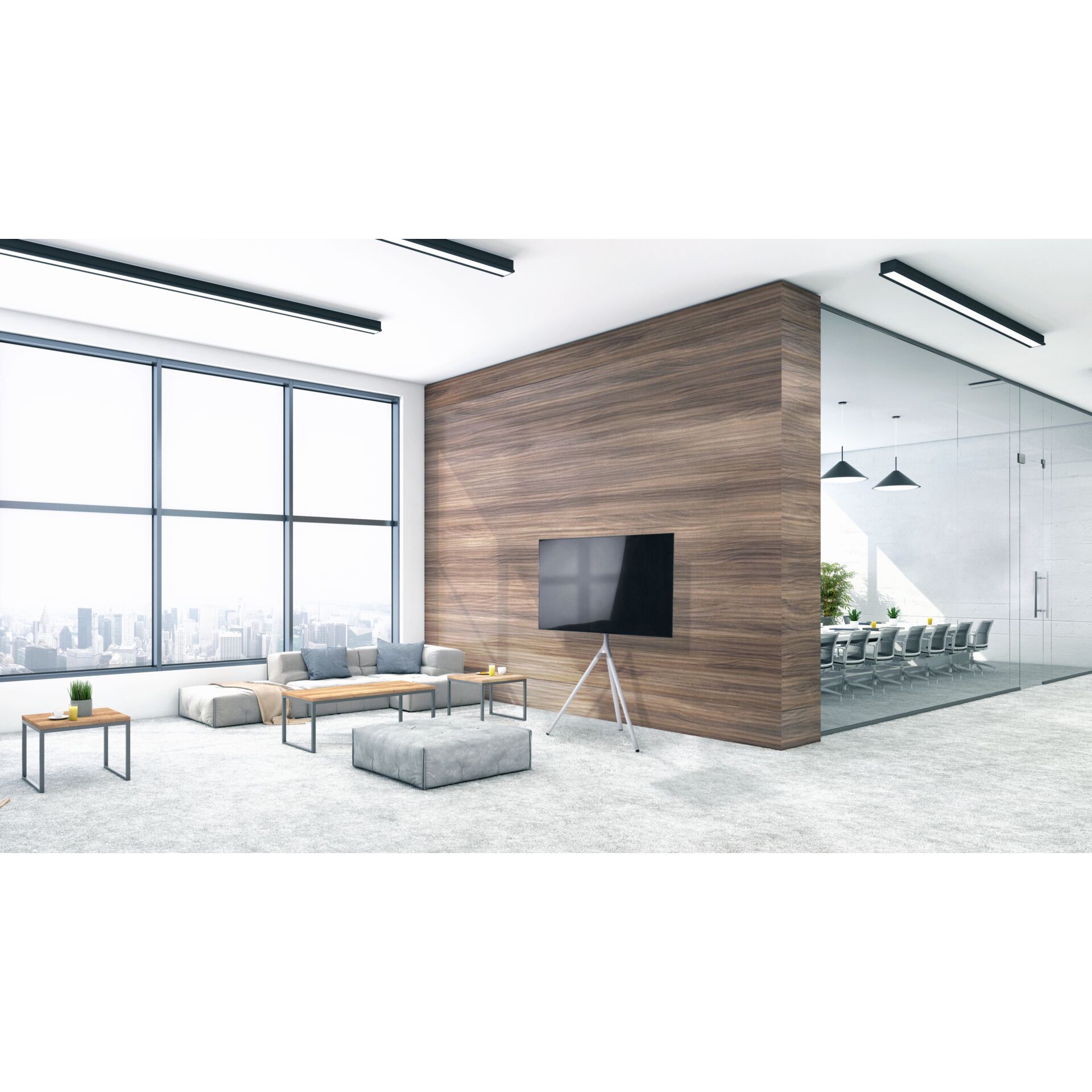 Drinnen, Innenarchitektur, Wohnzimmer, Pflanze, Bildschirm