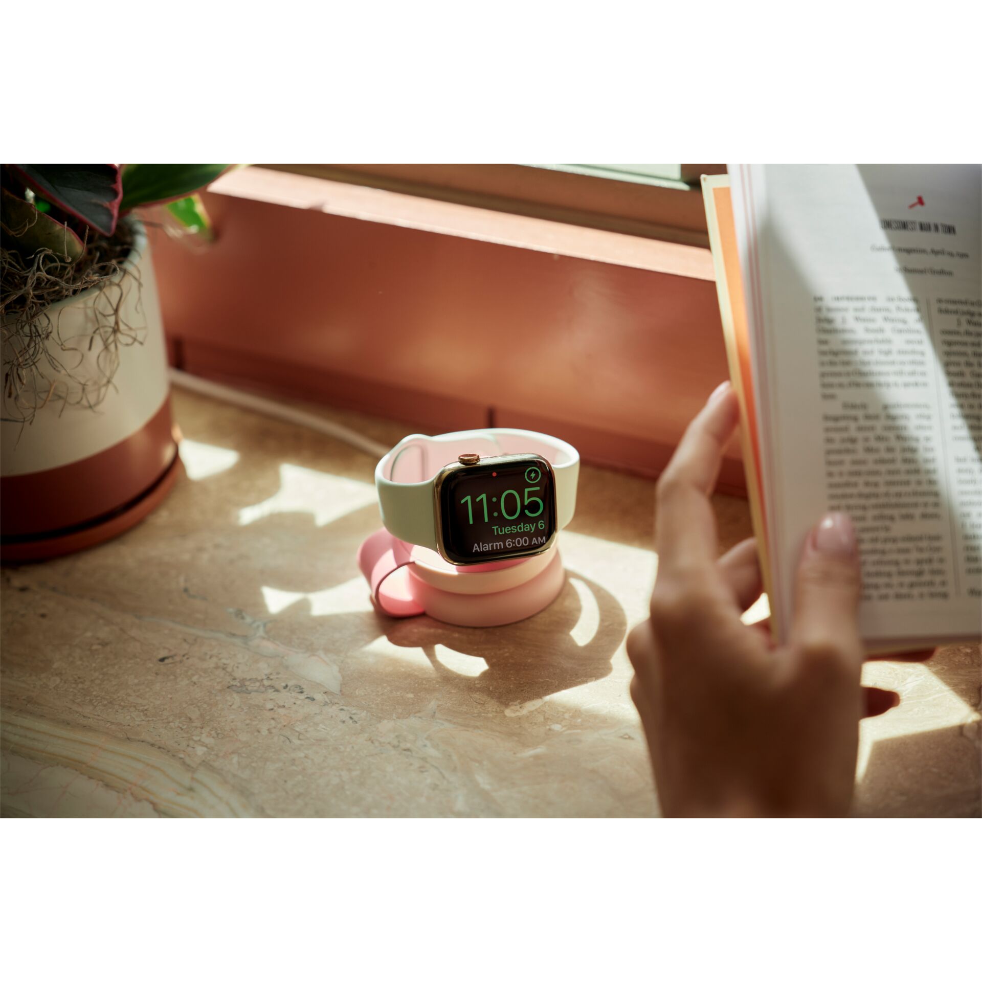 Computerausrüstung, Überwachen, Bildschirm, Finger, Pflanze