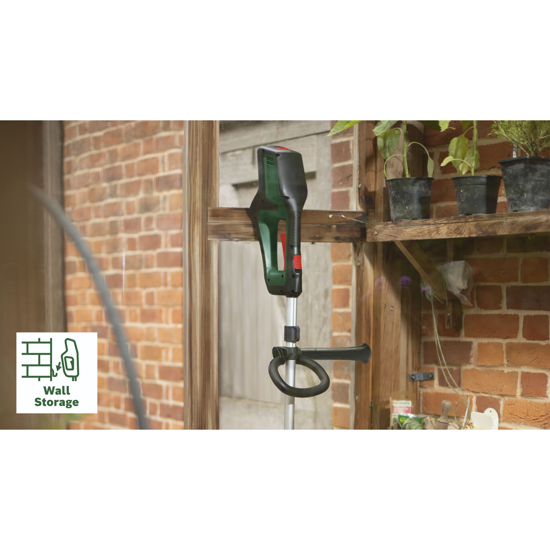 Drinnen, Innenarchitektur, Pflanze