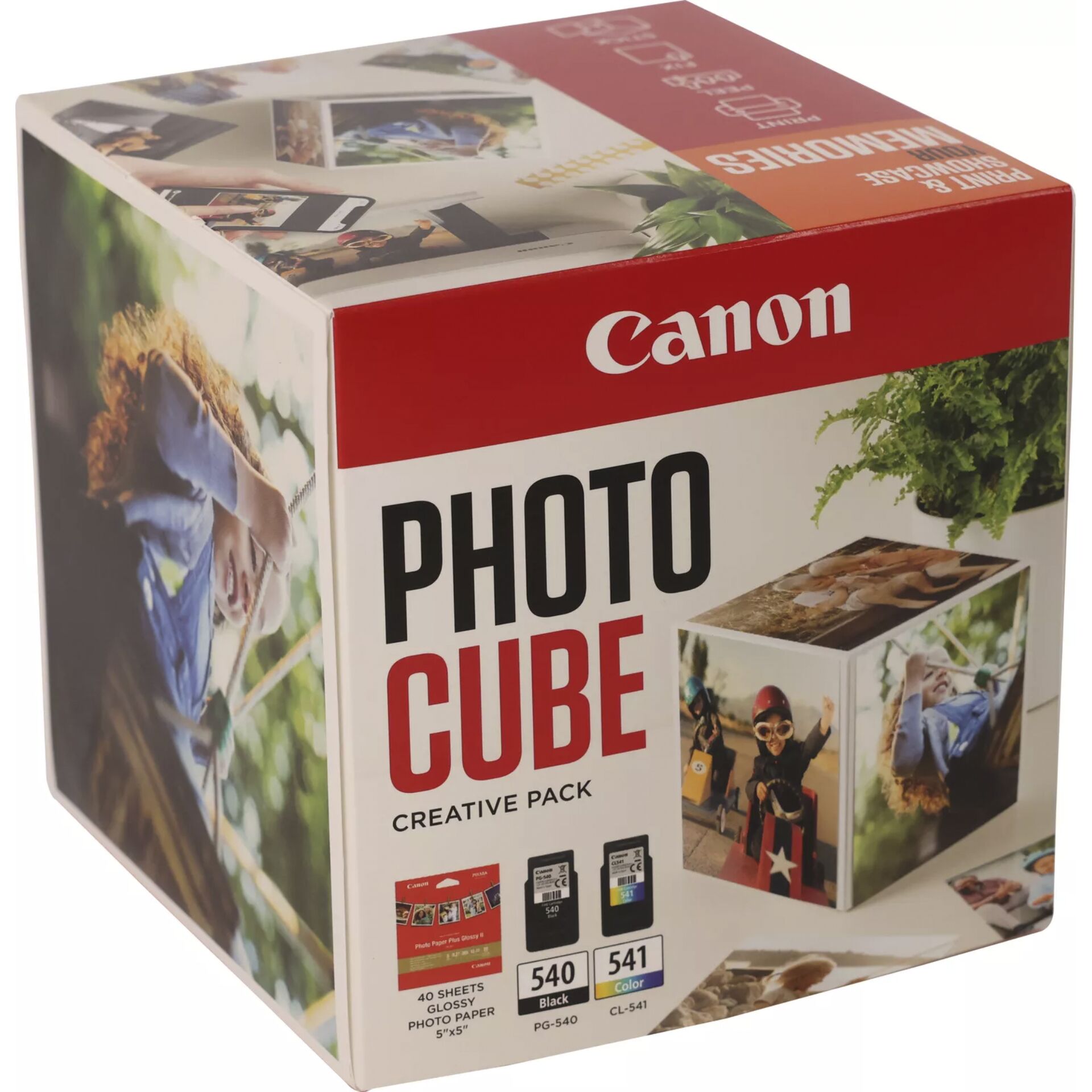 Kiste, Karton, Kräuterig, Pflanze