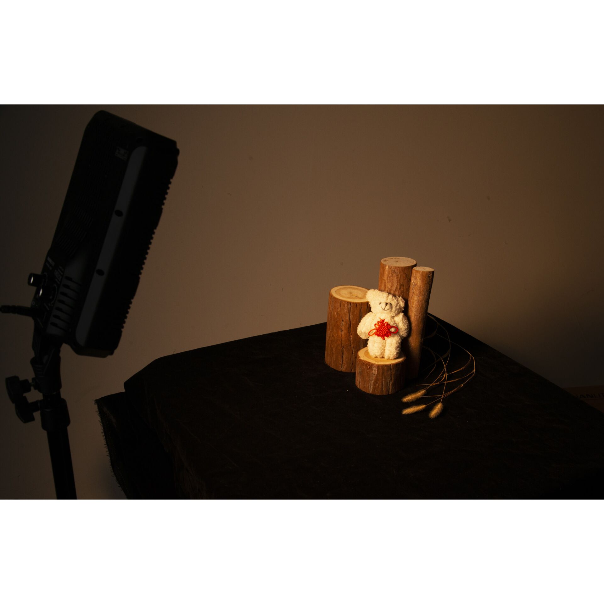 Elektrisches Gerät, Mikrophon