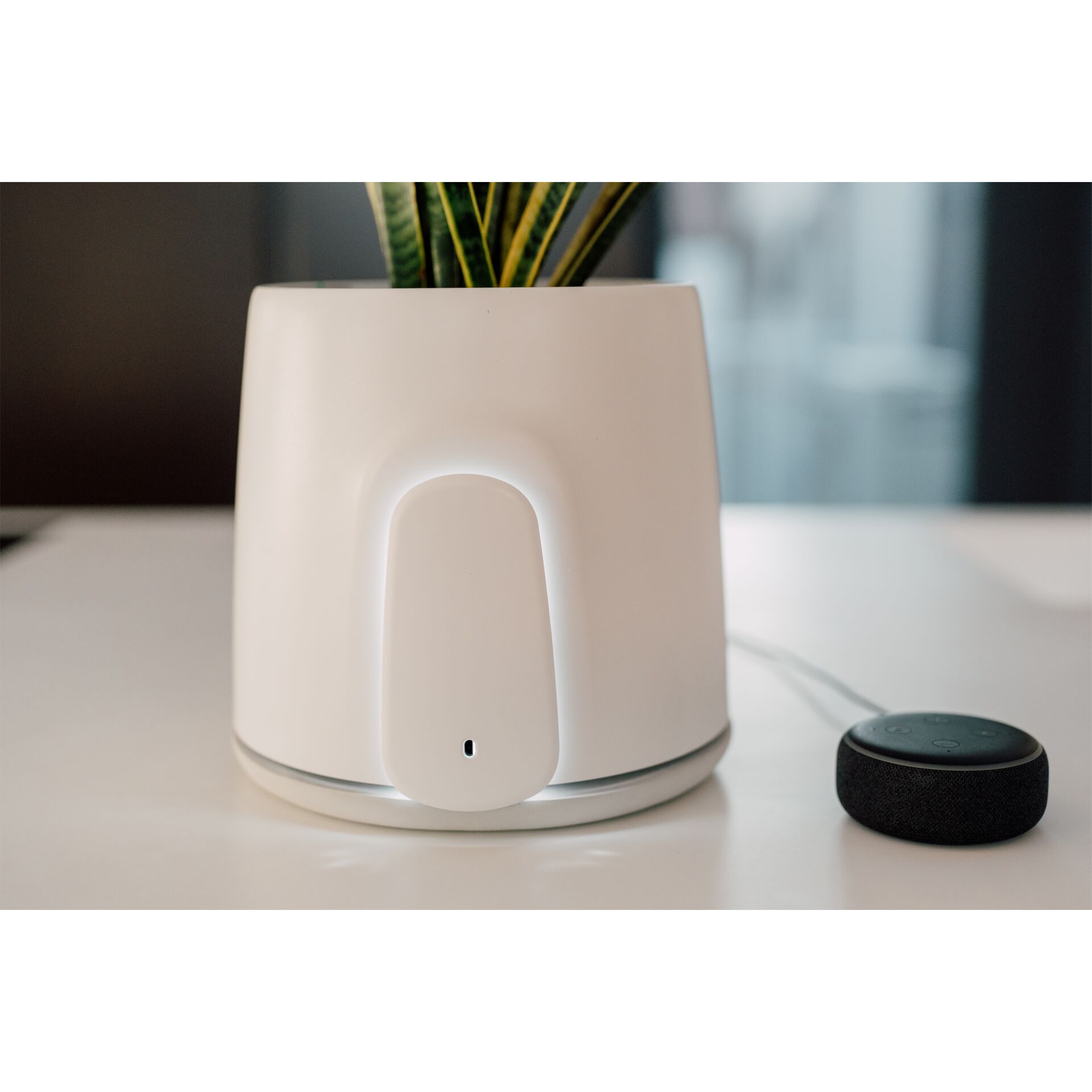 Topfpflanze, Krug, Pflanzgefäß, Töpferei, Vase