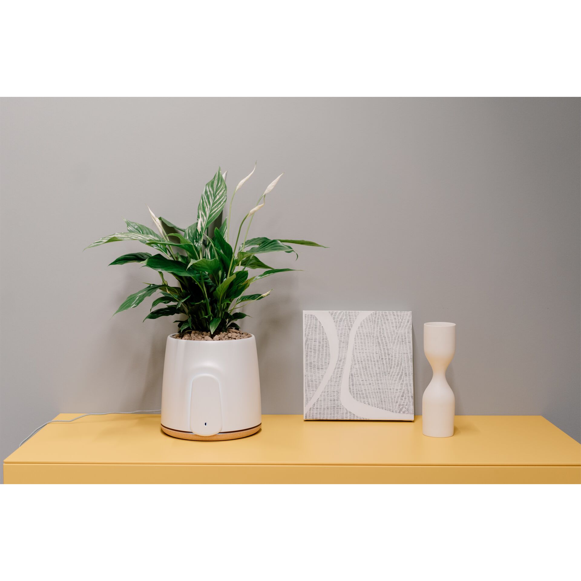 Topfpflanze, Krug, Pflanzgefäß, Töpferei, Vase