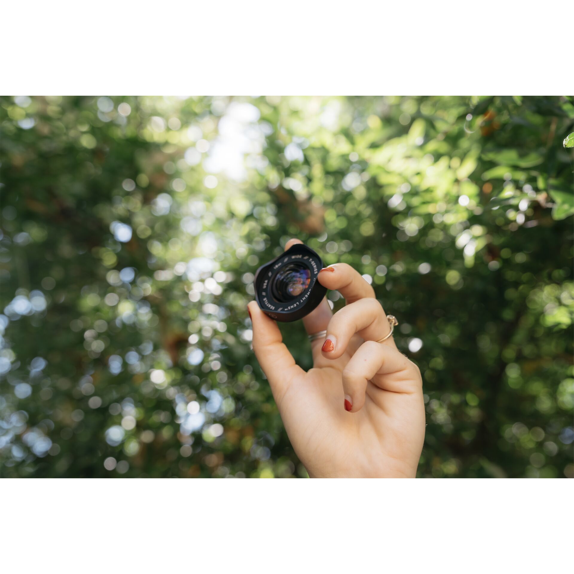 Photographie, Körperteil, Finger, Hand, Person