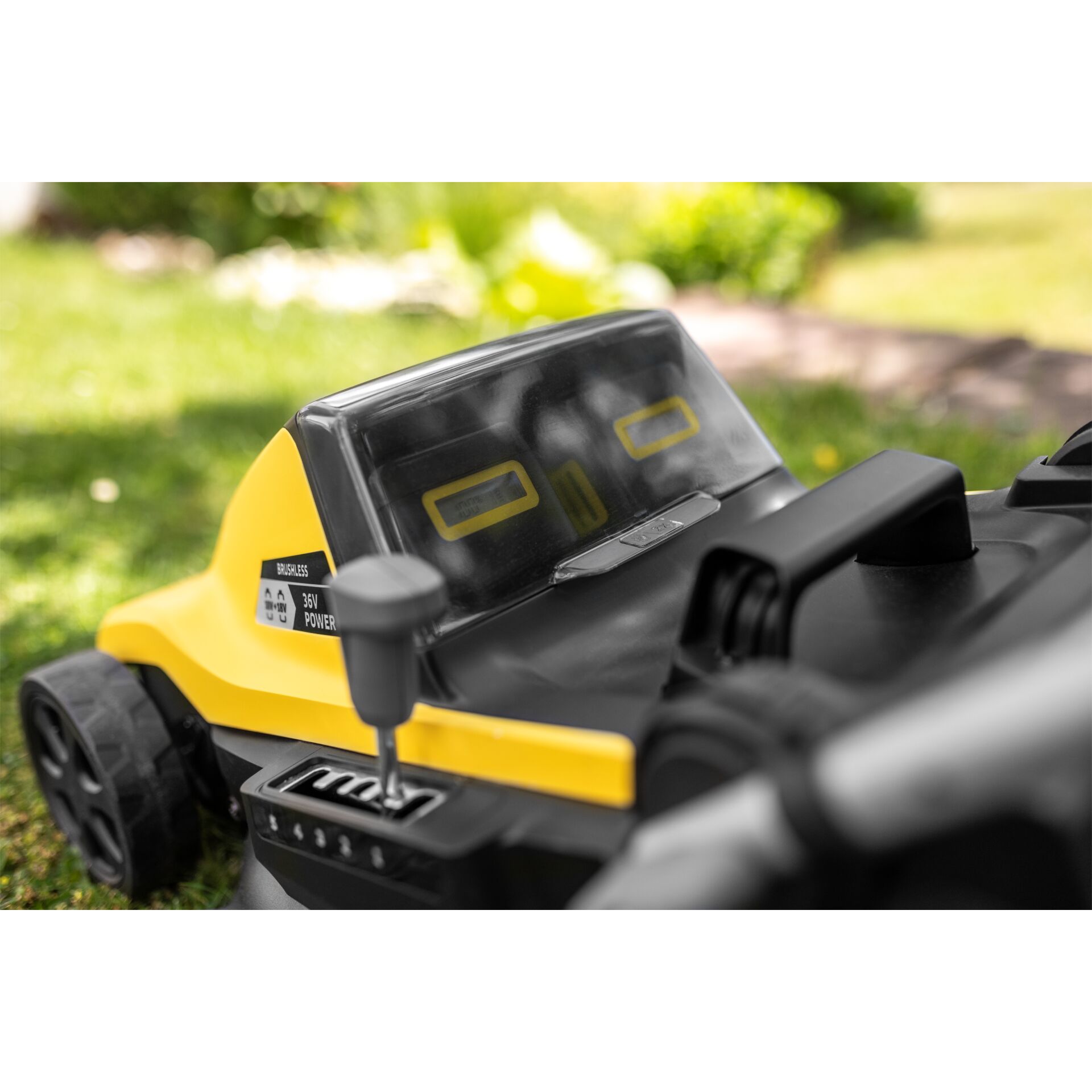 Gras, Rasen, Pflanze, Gerät, Rasenmäher