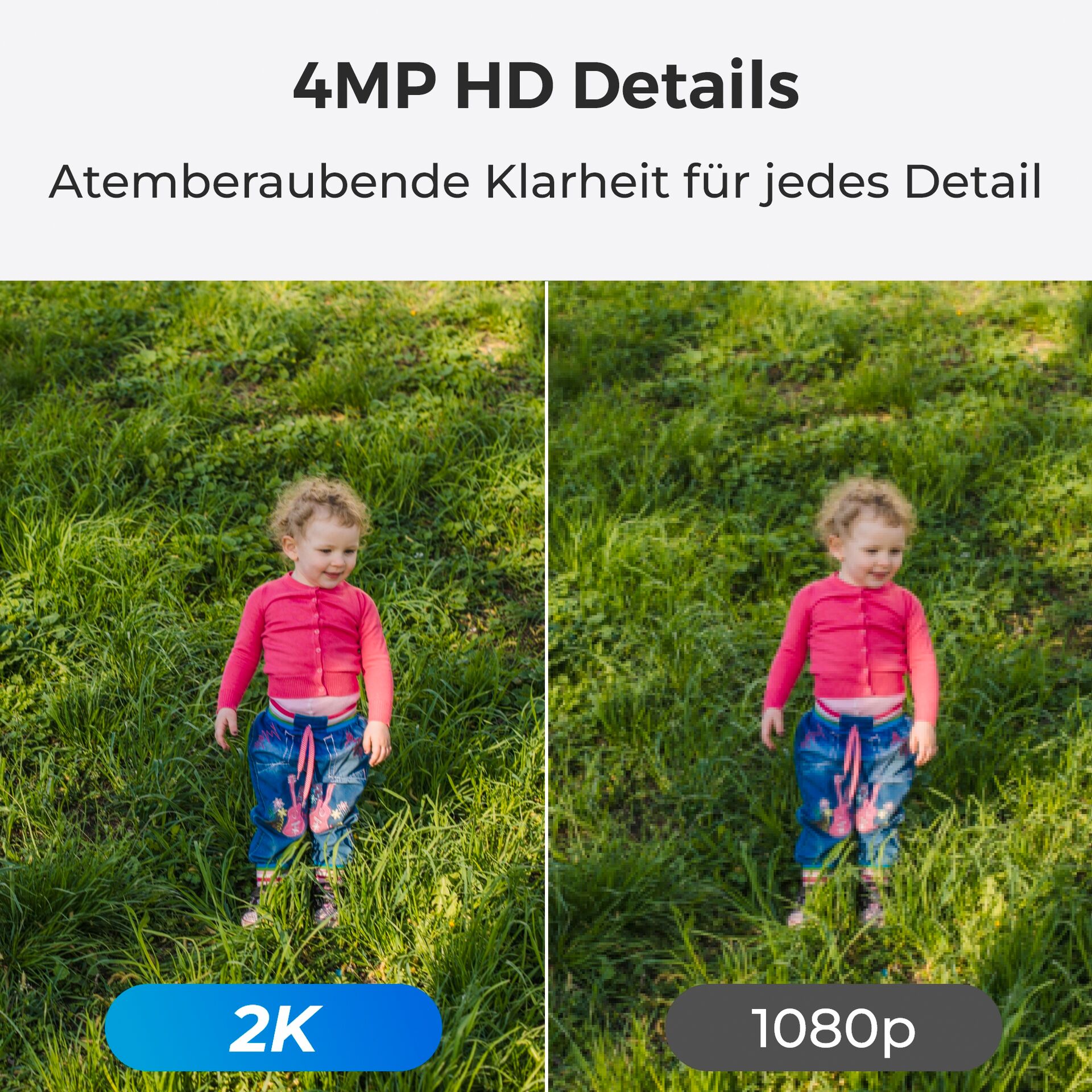 Gras, Rasen, Person, Gehen, Grünland